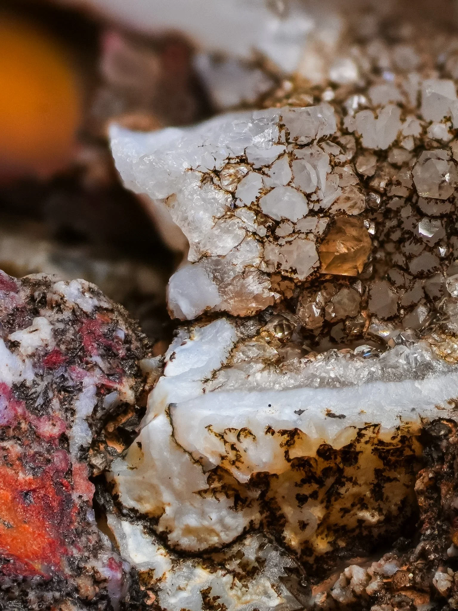 2026-03-19 13-44-51 (B,R8,S1).jpg