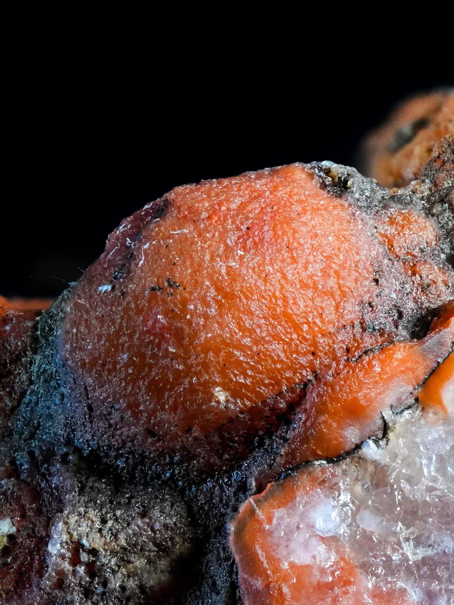 2026-02-19 12-05-06 (B,R8,S1).jpg