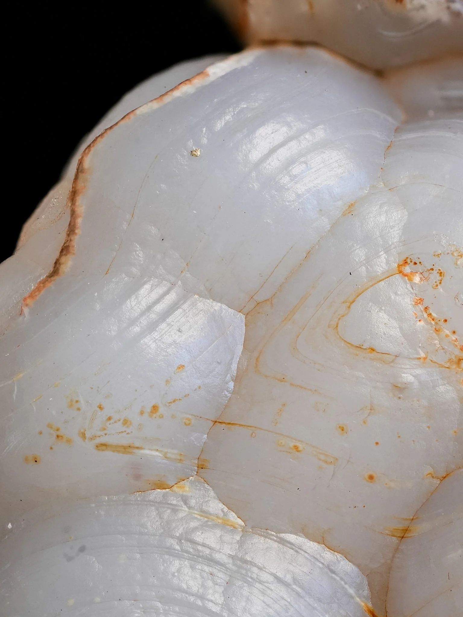 2026-03-12 13-05-00 (B,R8,S1).jpg