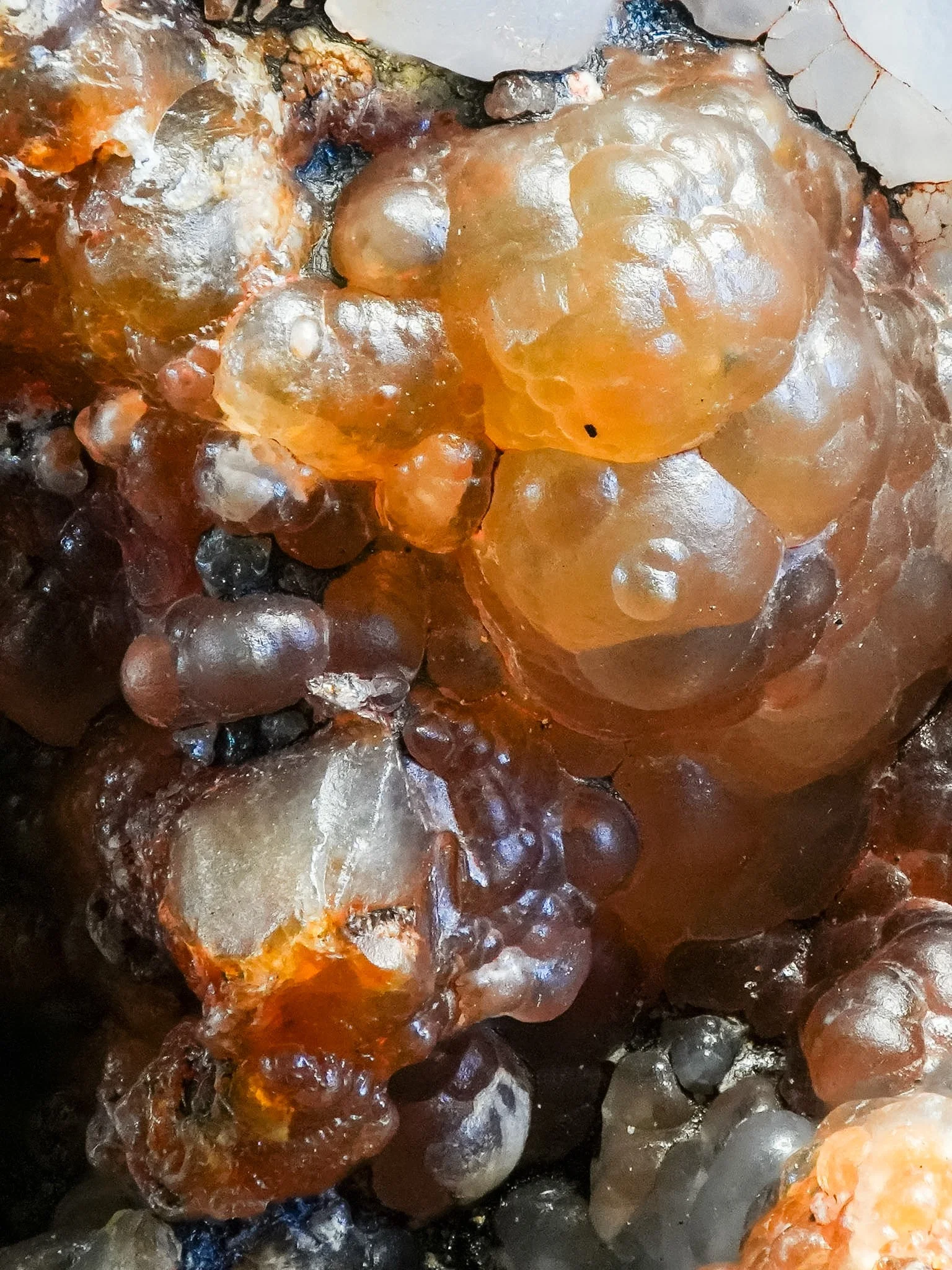 2026-02-26 15-55-31 (B,R8,S1).jpg