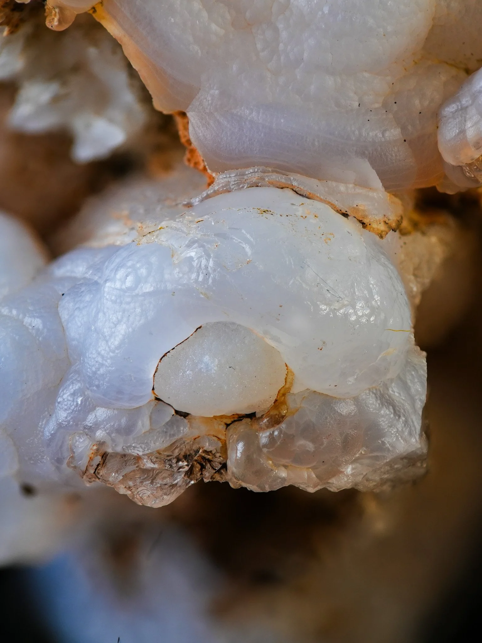 2026-02-06 17-31-01 (B,R8,S4).jpg