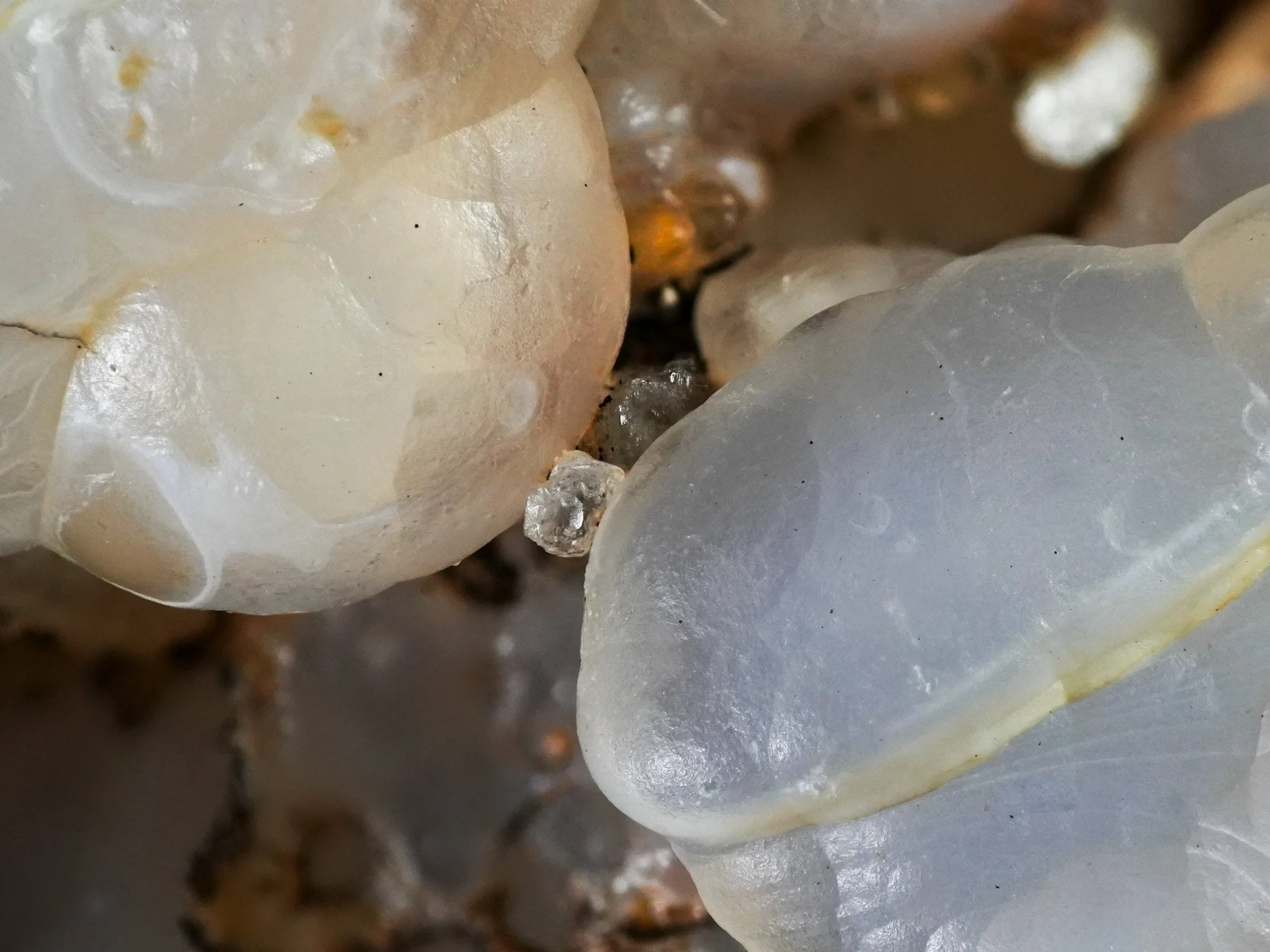 2026-01-02 11-52-11 (B,R8,S4).jpg