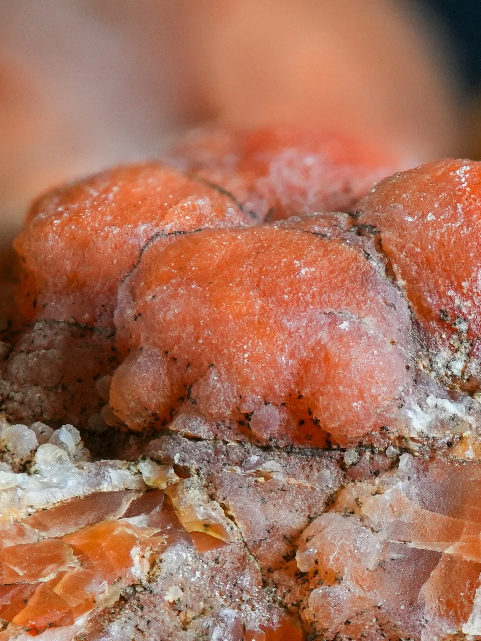 2026-02-19 12-08-47 (B,R8,S1).jpg