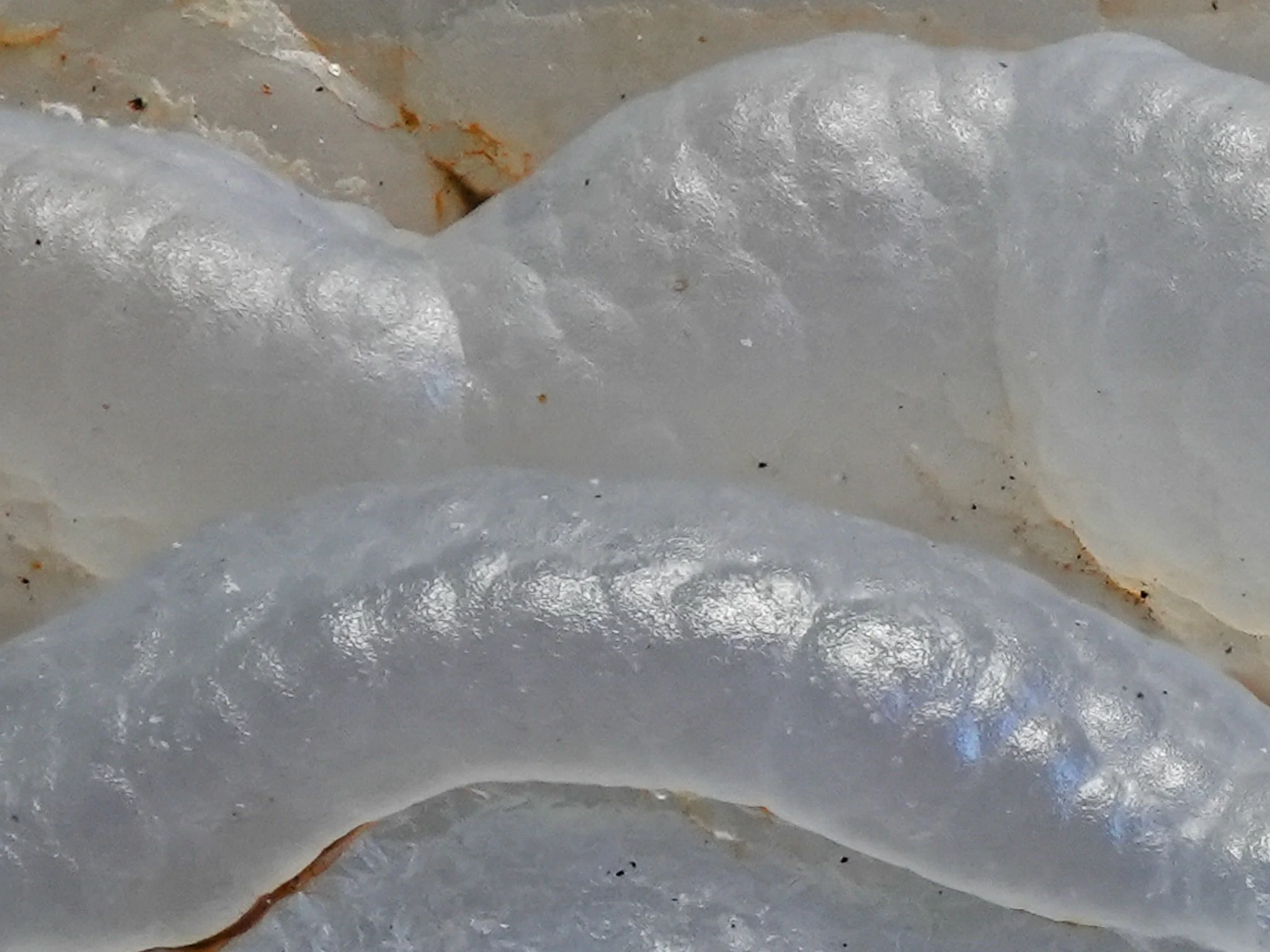 2026-01-29 14-24-21 (B,R8,S4).jpg