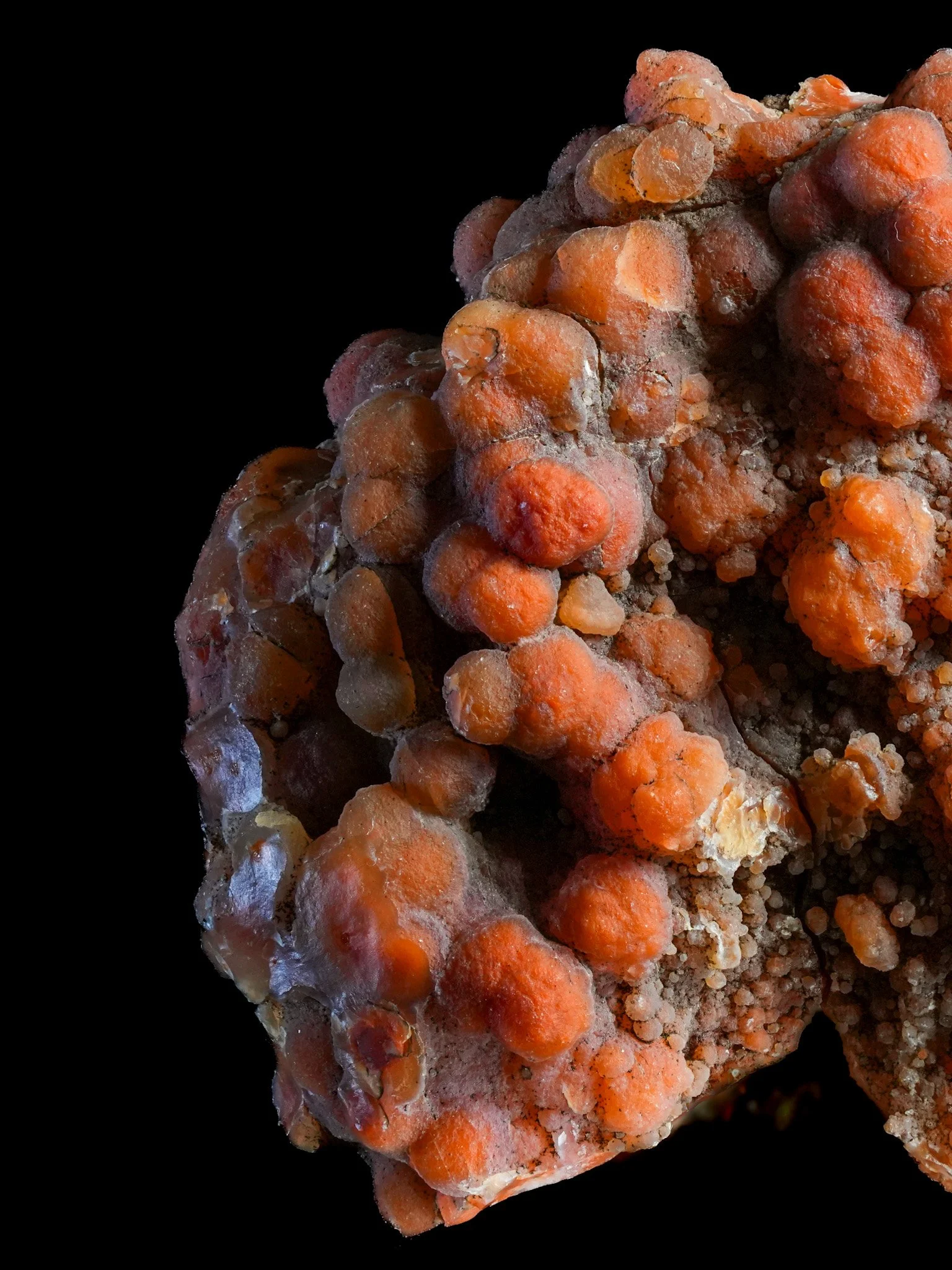 2026-02-19 12-47-19 (B,R8,S1).jpg