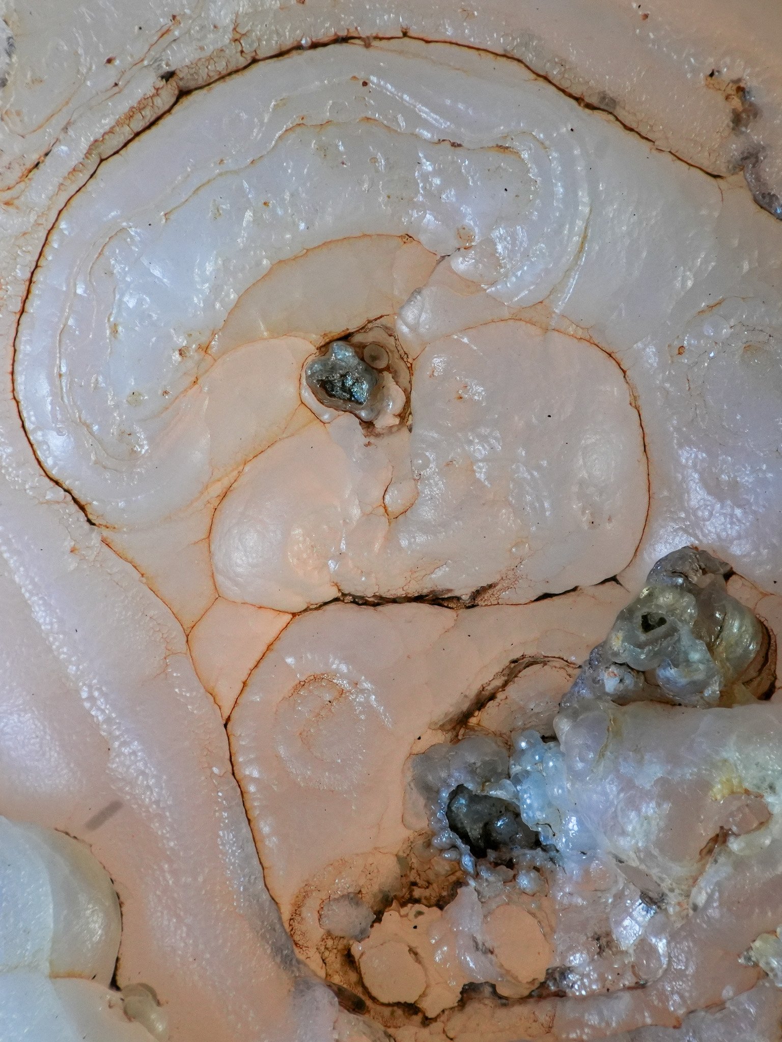 2026-01-07 15-49-54 (B,R8,S4) 2.jpg