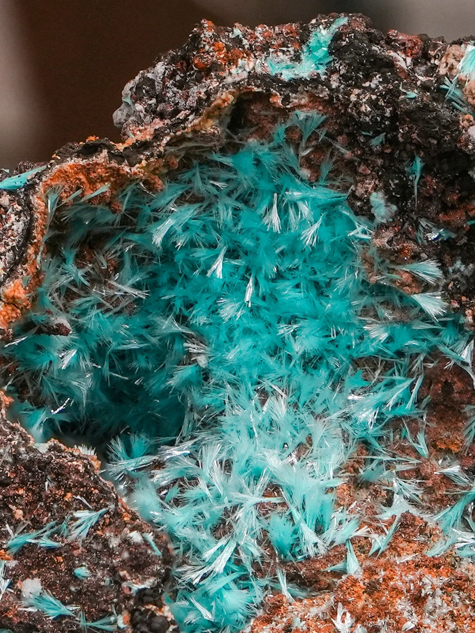 2026-03-05 14-42-13 (B,R8,S1).jpg