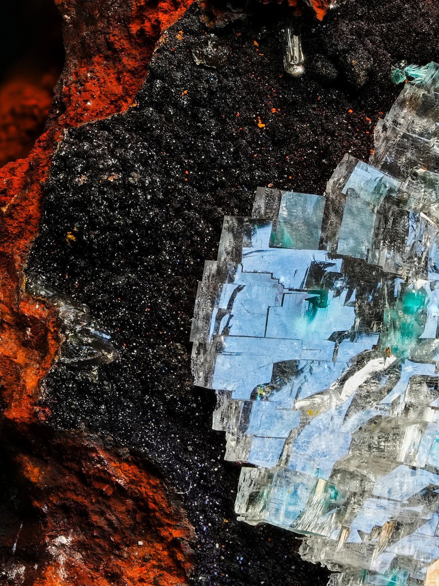 2026-04-09 16-12-14 (C,S1) 2.jpg