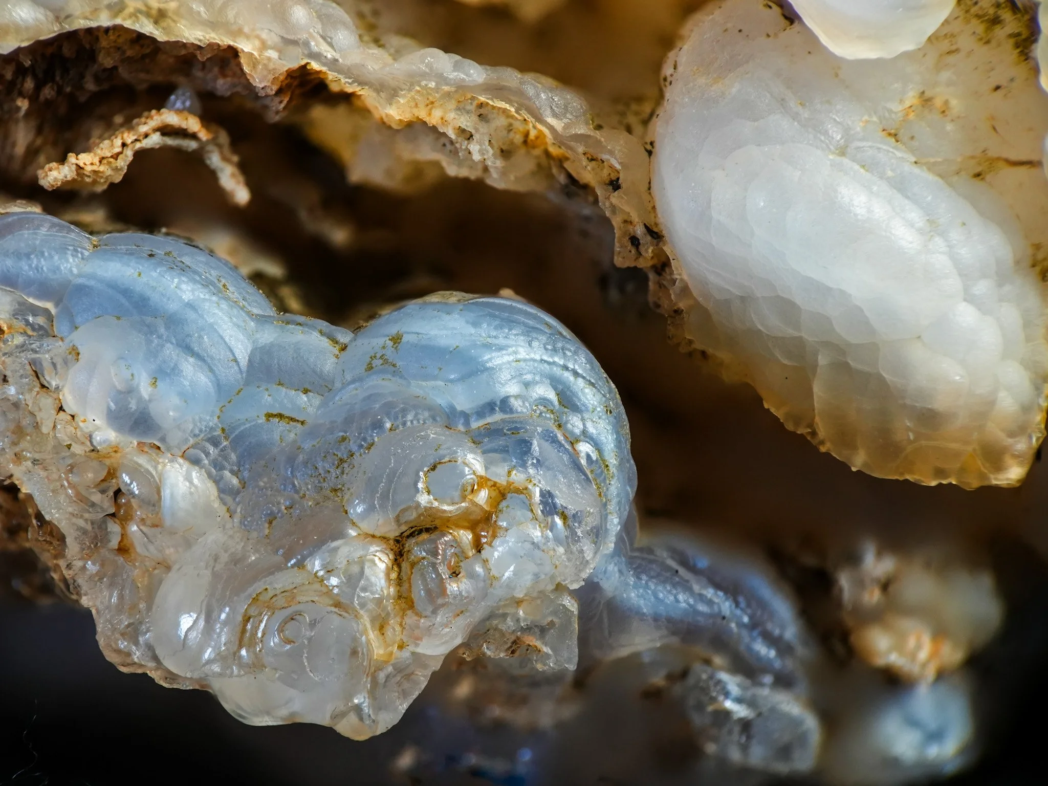 2026-02-06 17-19-13 (B,R8,S4) 3.jpg