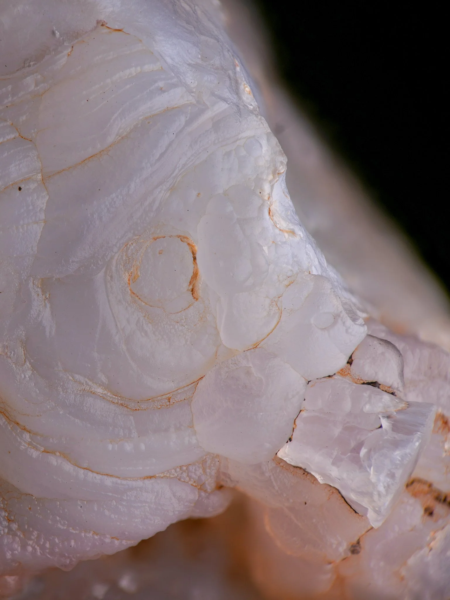 2026-01-07 15-42-32 (B,R8,S4).jpg