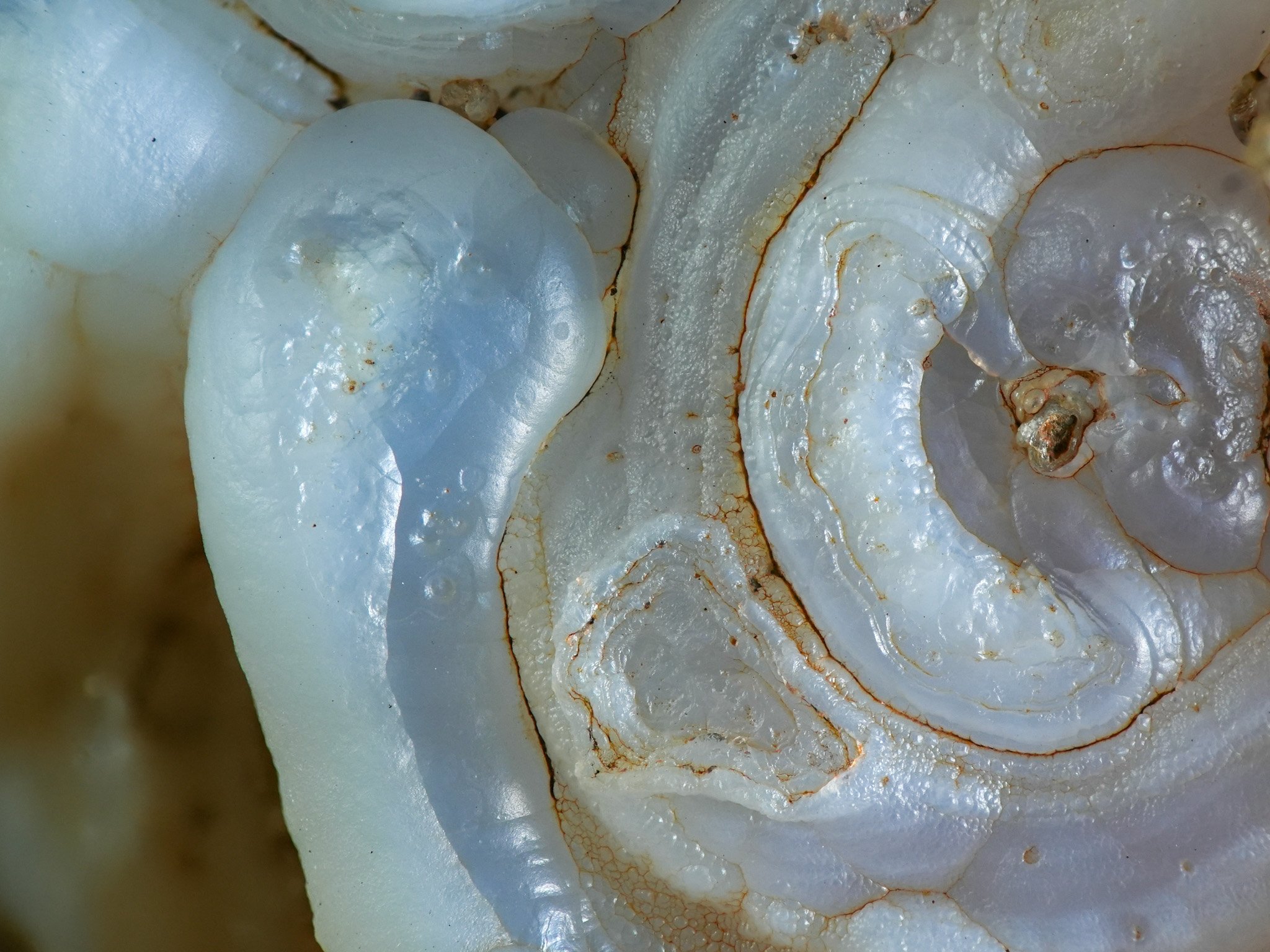 2026-01-07 15-40-48 (B,R8,S4).jpg