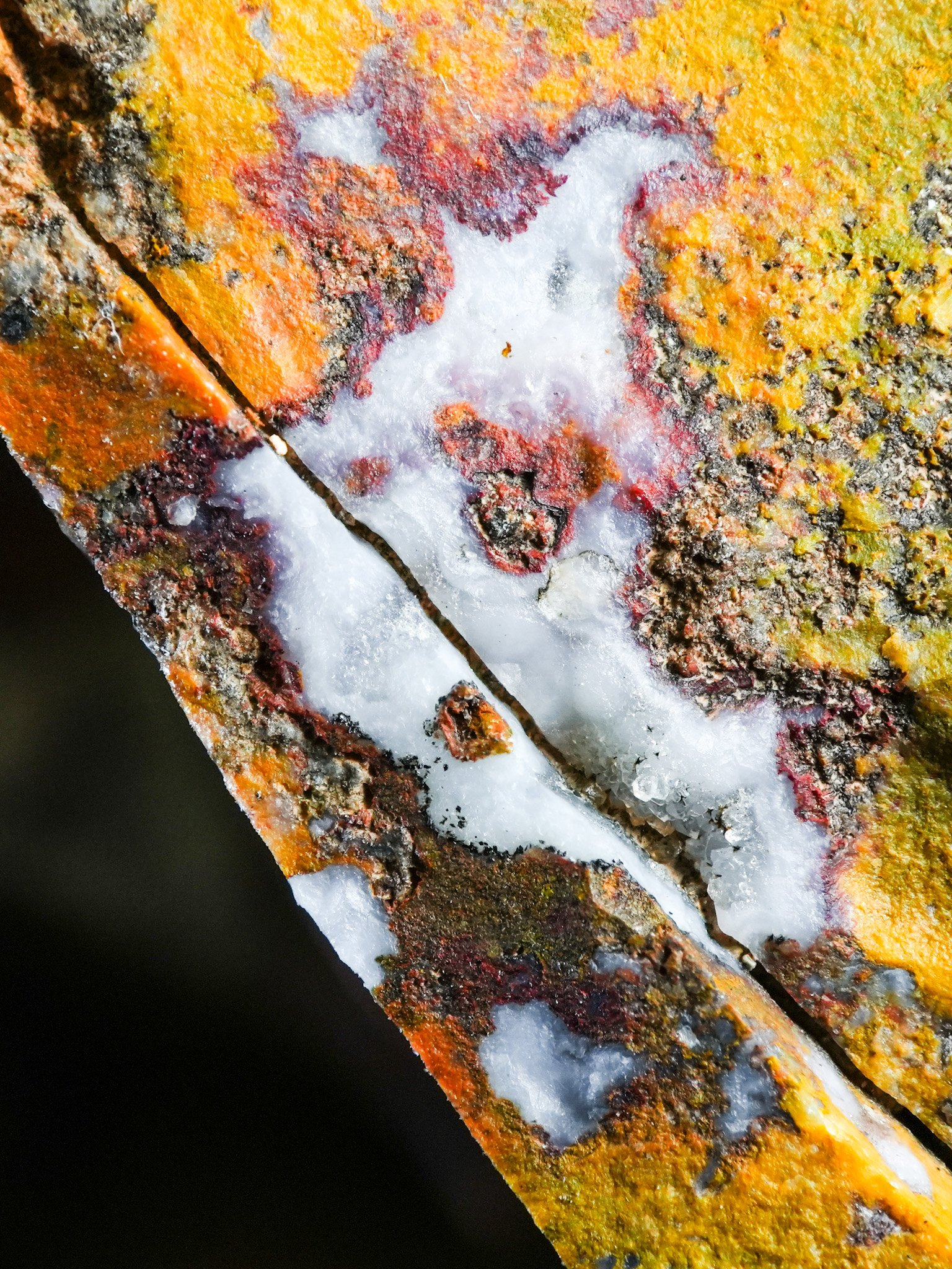 2026-02-07 12-51-58 (B,R8,S4).jpg