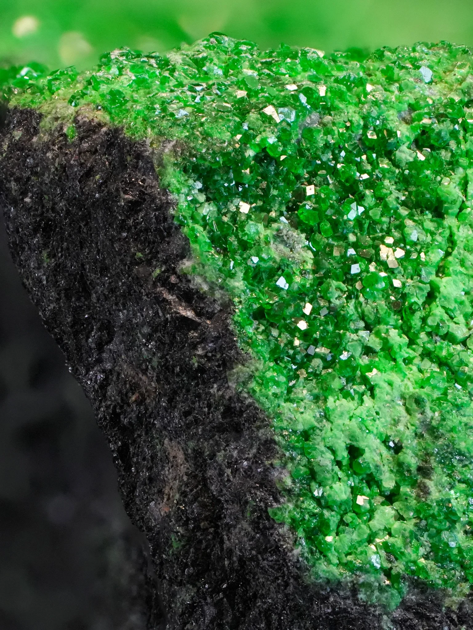 2026-04-20 12-59-12 (B,R8,S4).jpg