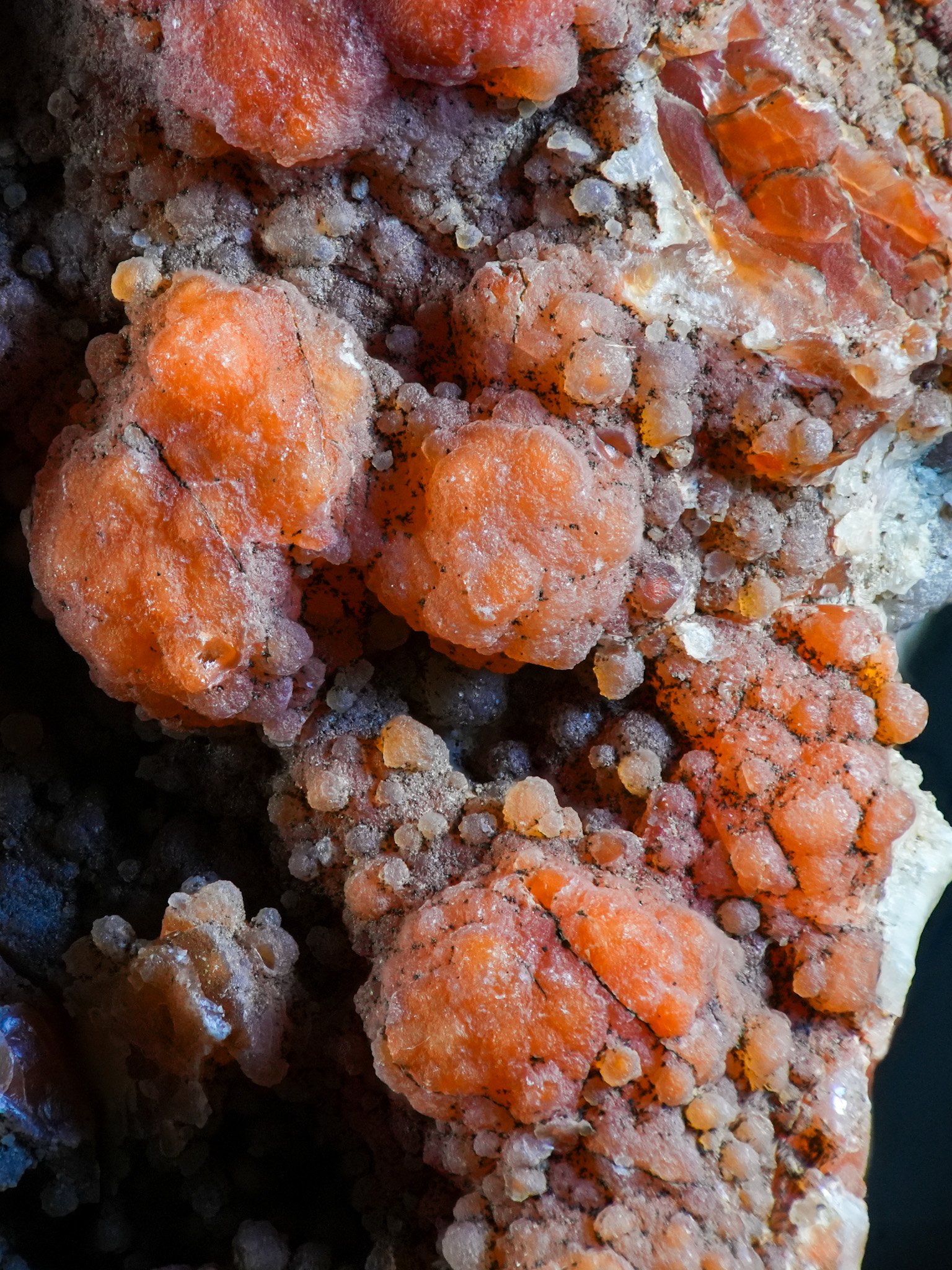 2026-02-19 12-15-27 (B,R8,S1).jpg