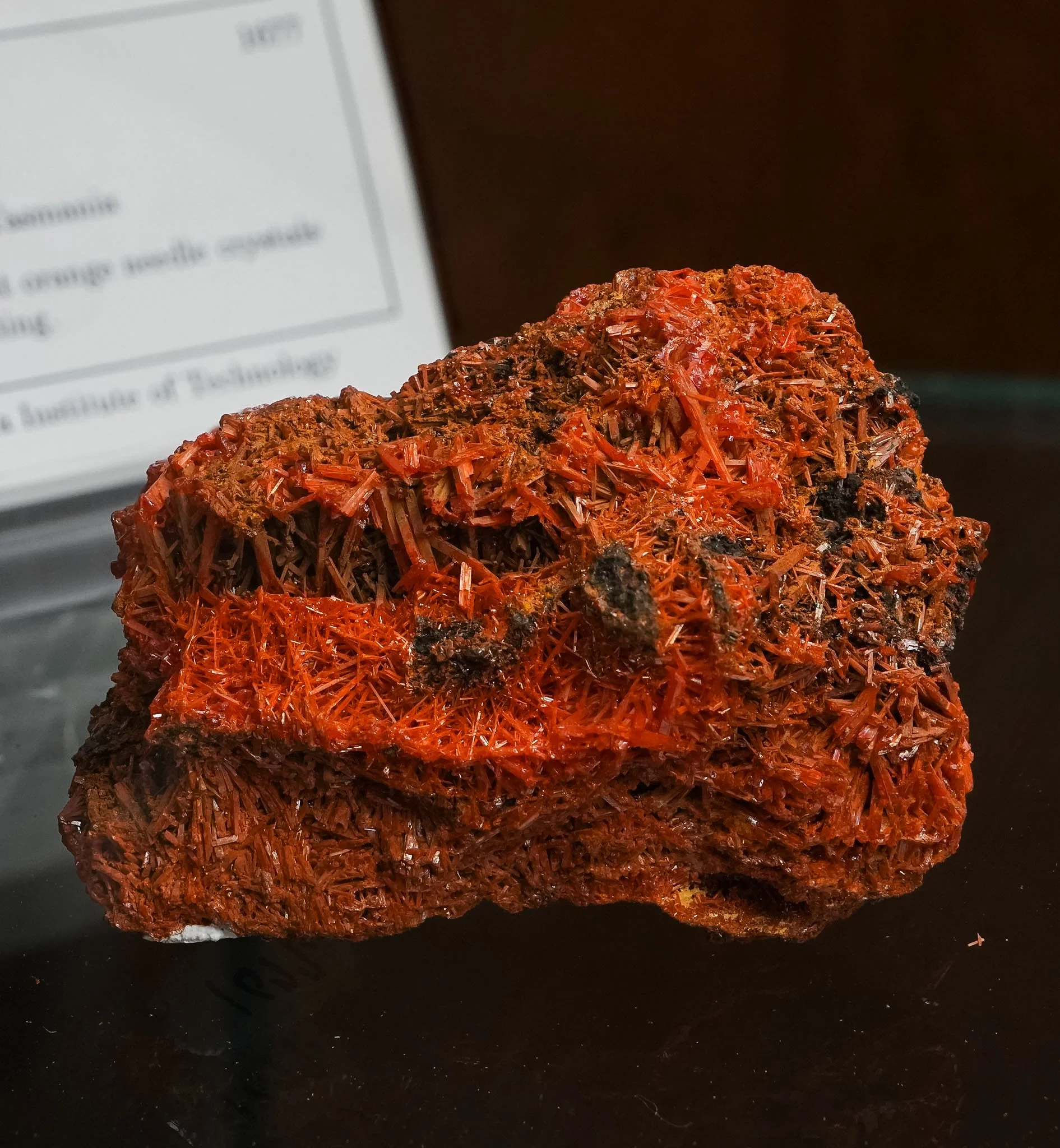 2026-03-05 15-06-32 (B,R8,S1).jpg