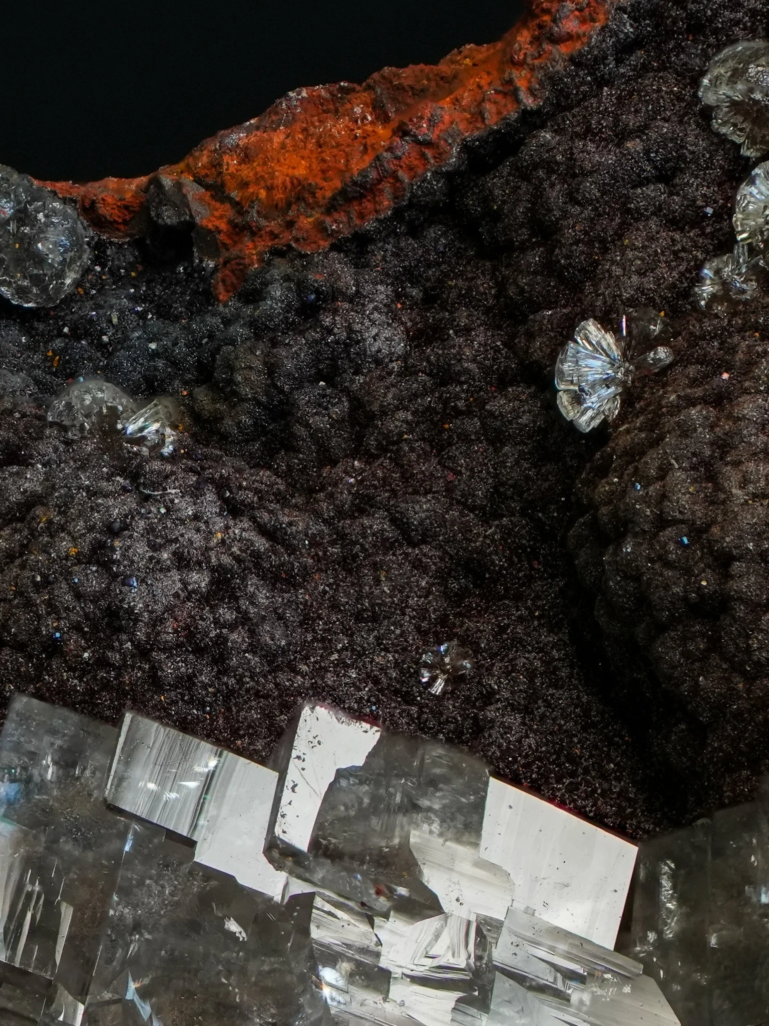 2026-04-09 13-49-40 (B,R8,S1).jpg