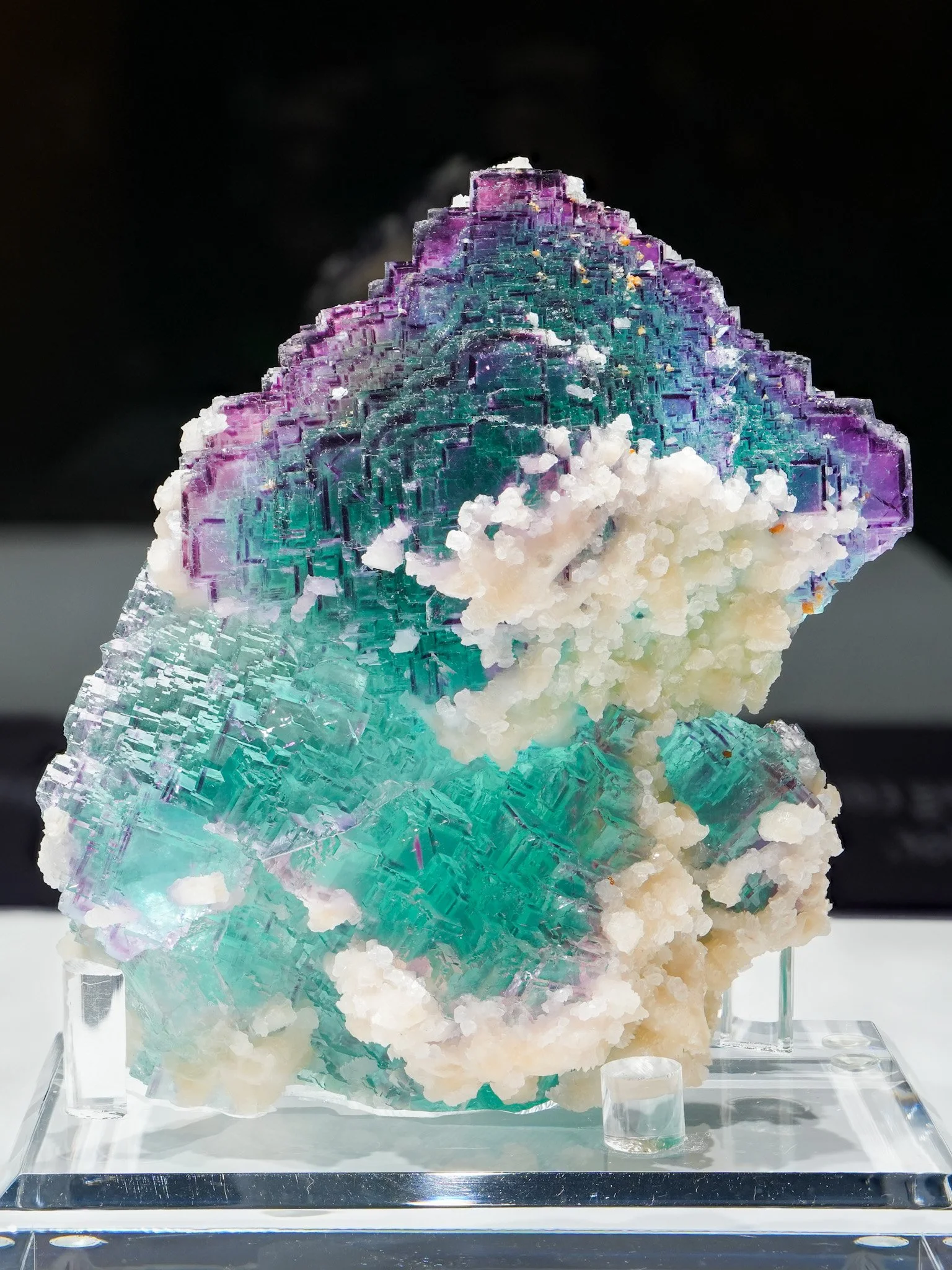 2026-02-27 12-35-03 (B,R8,S1) 2.jpg