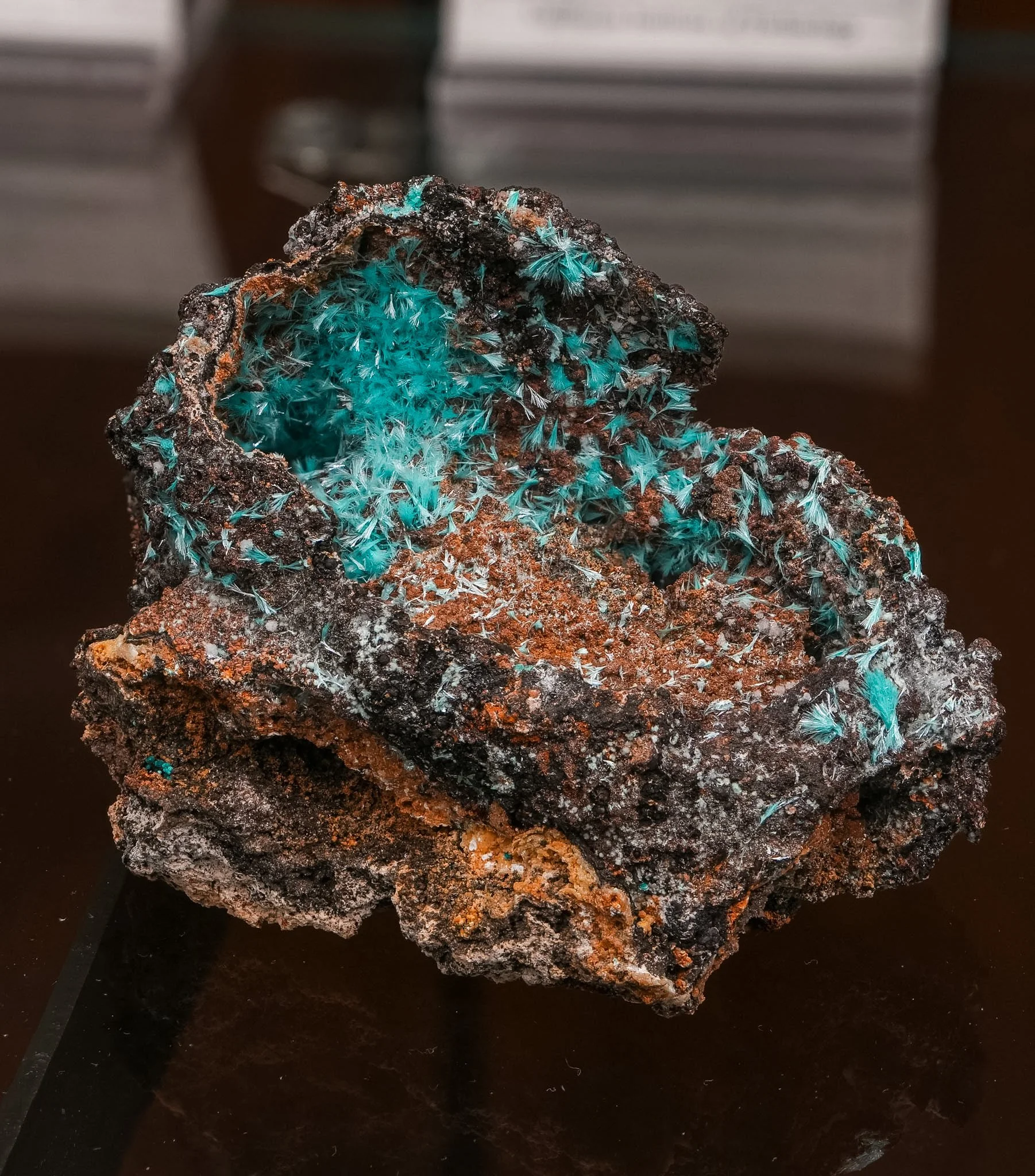 2026-03-05 14-41-42 (B,R8,S1).jpg