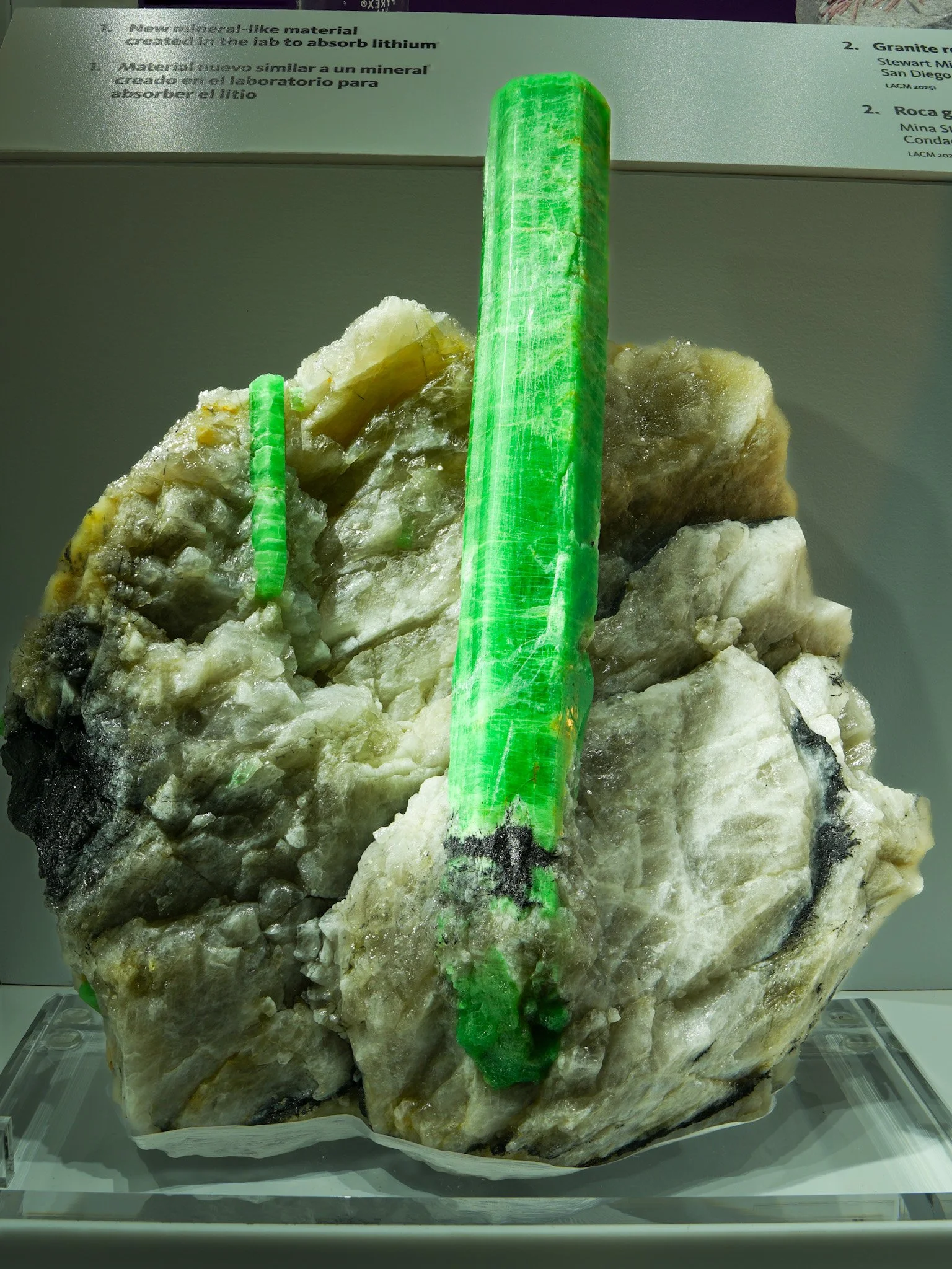 2026-02-27 12-26-39 (B,R8,S1) 2.jpg