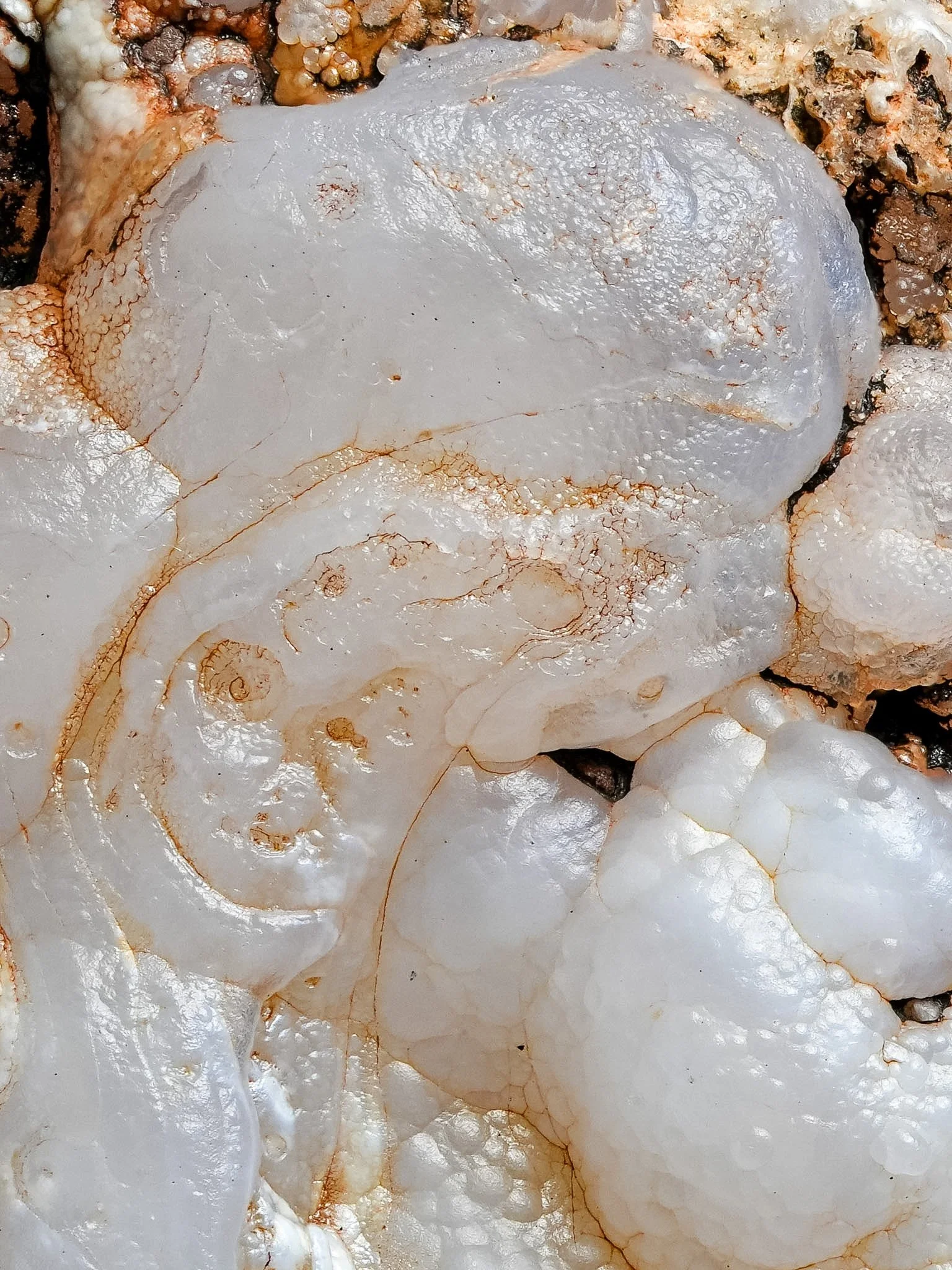 2026-03-12 13-17-08 (B,R8,S1).jpg