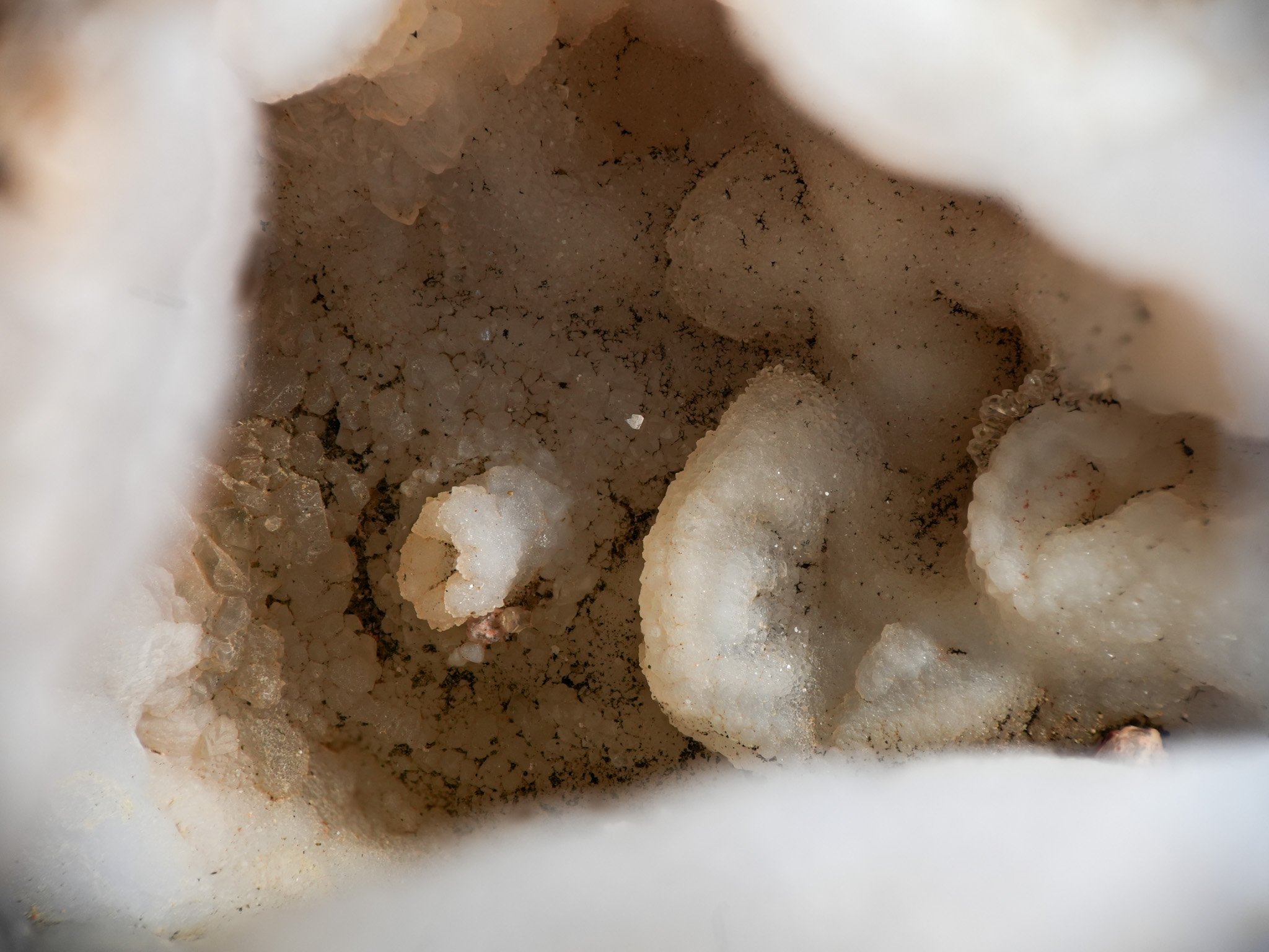 2026-02-12 13-34-21 (B,R8,S1).jpg