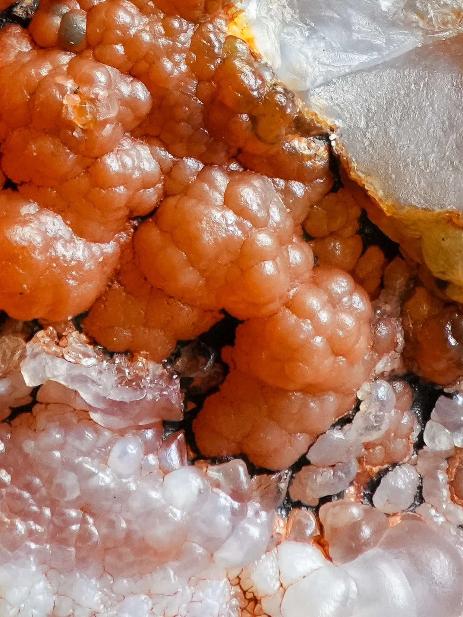 2026-02-26 15-13-45 (B,R8,S1).jpg