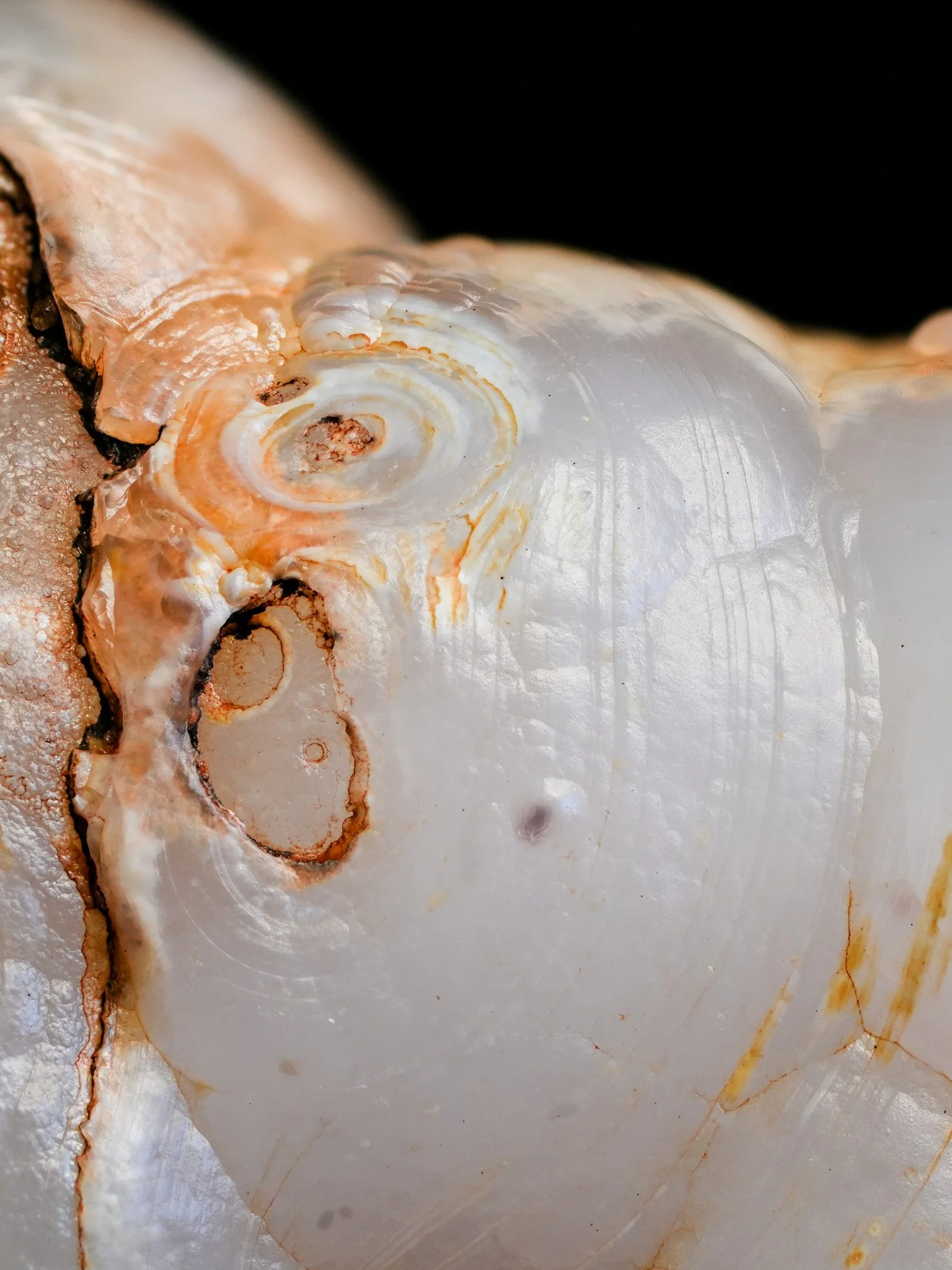 2026-03-12 13-05-38 (B,R8,S1) 2.jpg