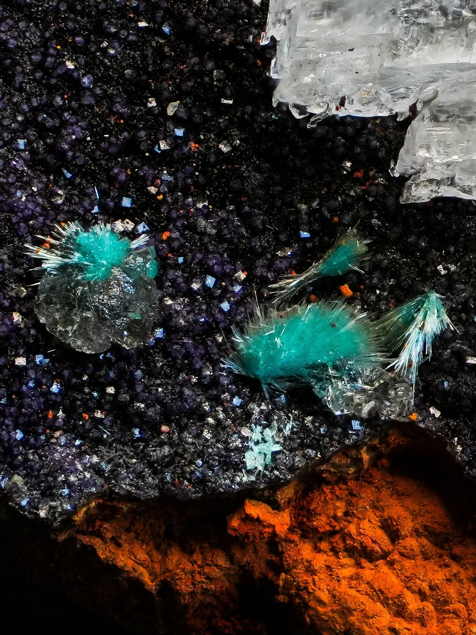 2026-04-09 13-44-45 (B,R8,S1).jpg