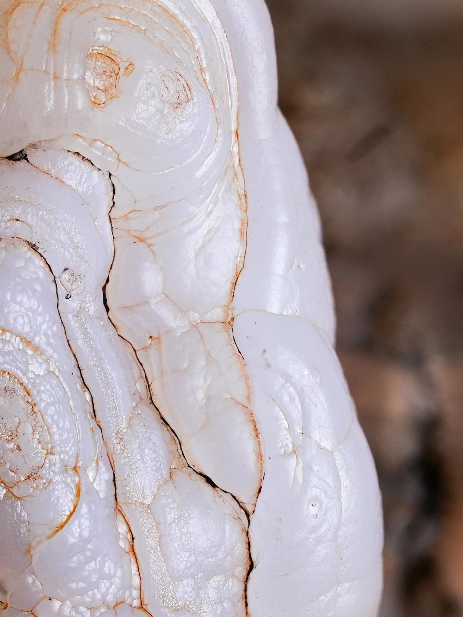 2026-01-06 15-18-52 (B,R8,S4).jpg