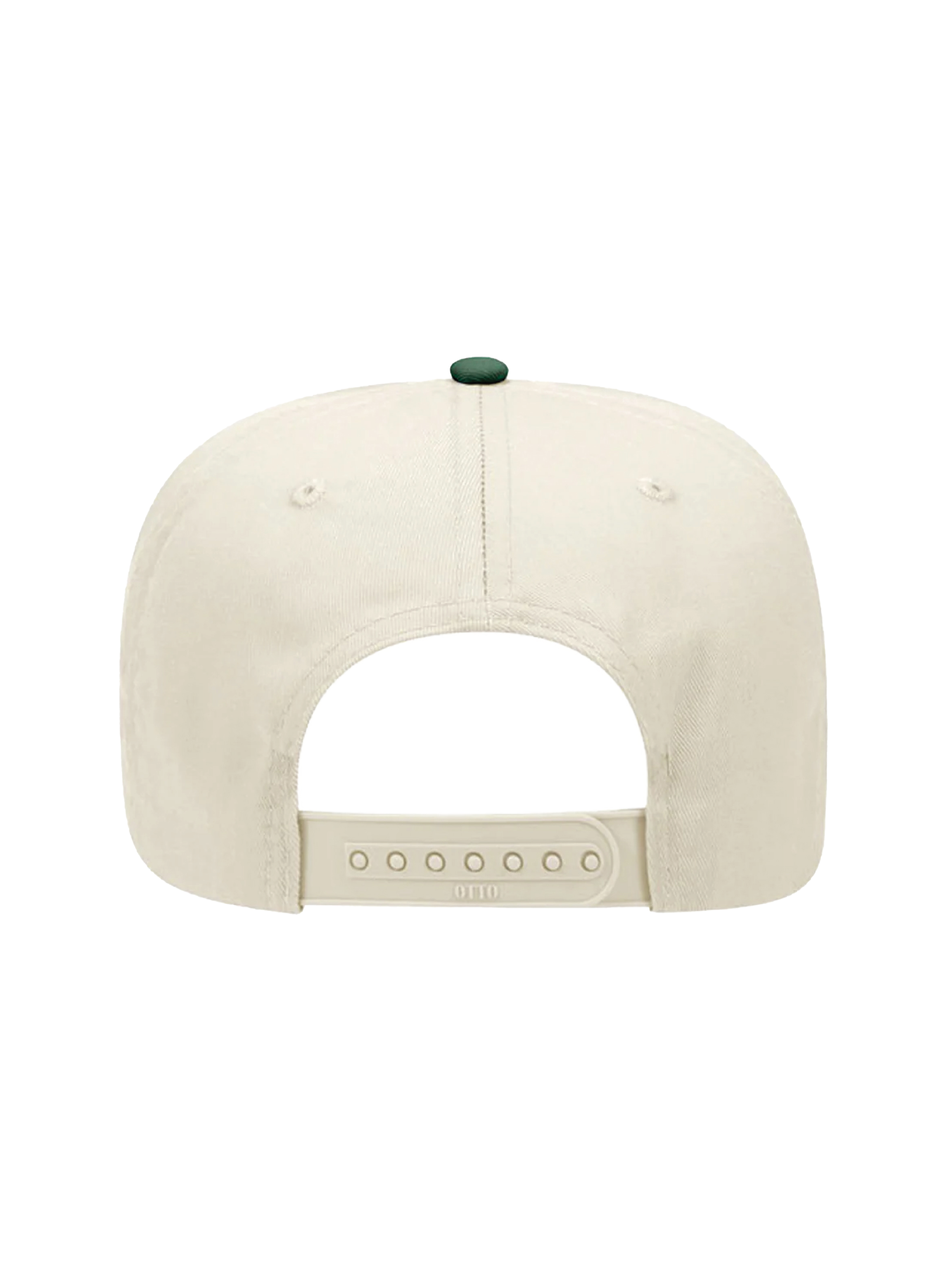 Purpose Hat Transparent - Back.png