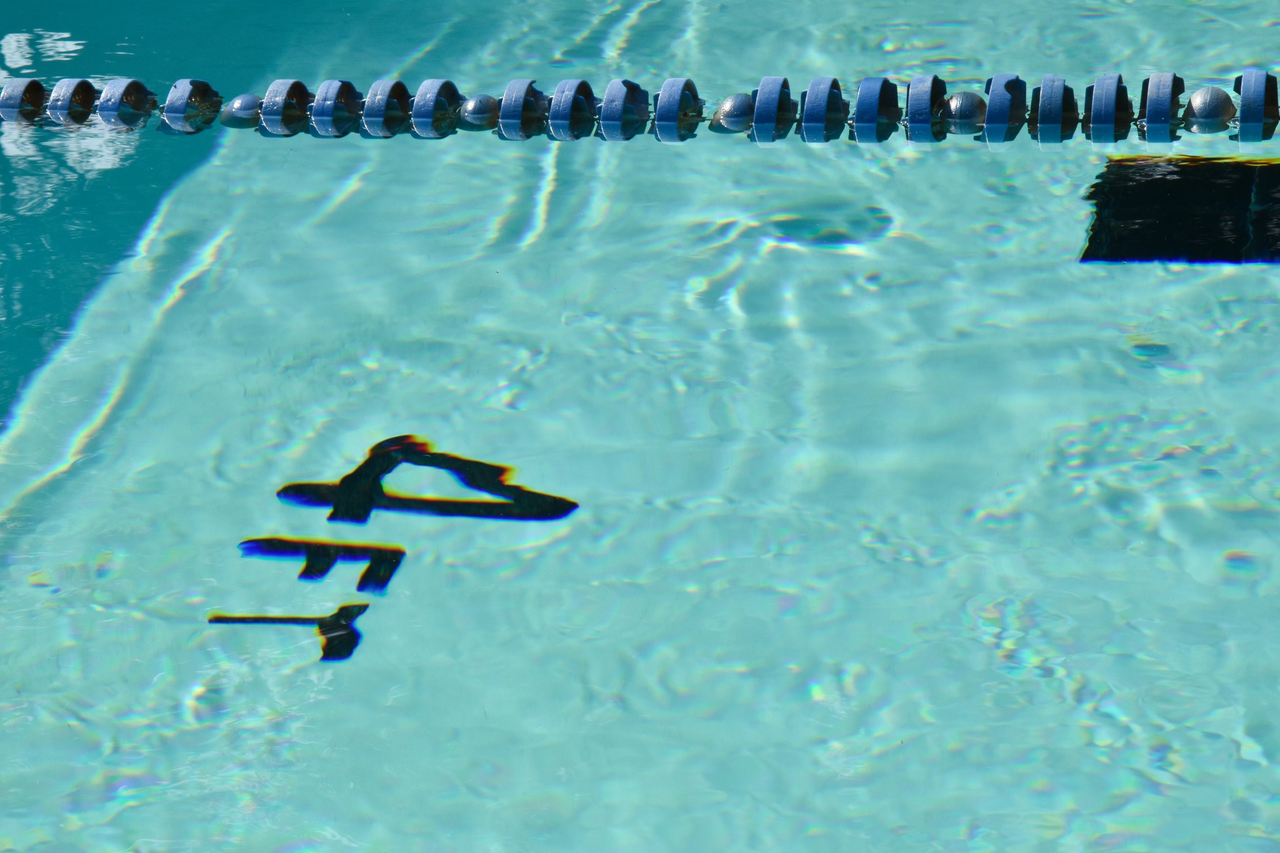 Learning to Swim