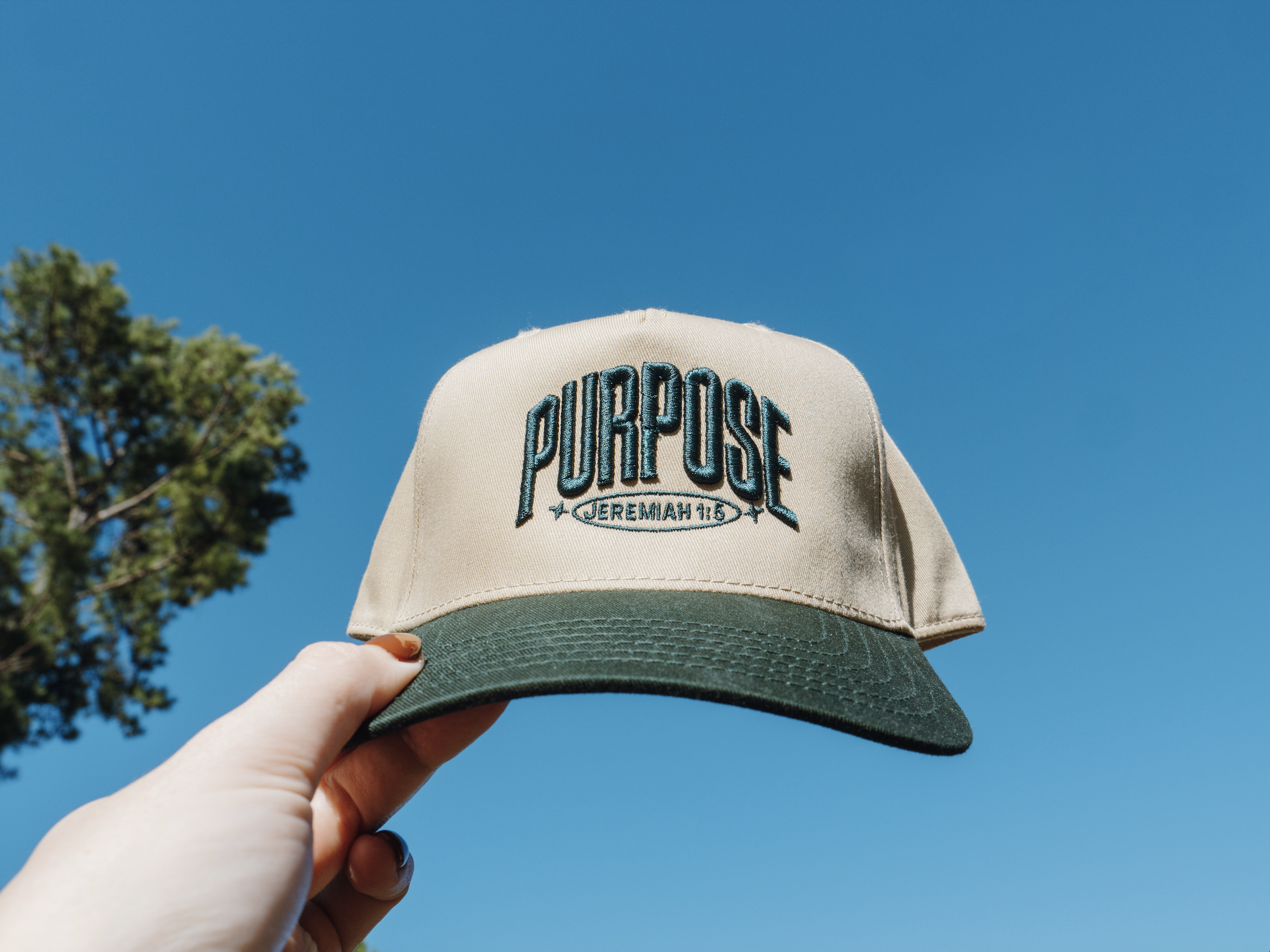 Hat 2.png