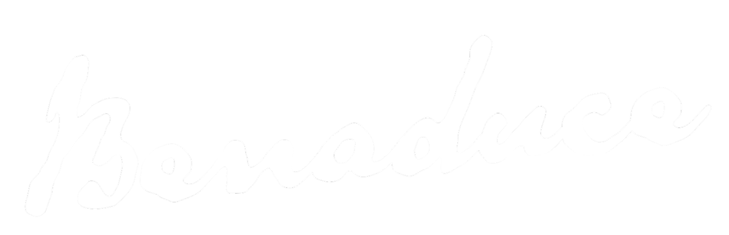 BENADUCE STUDIO (cópia)