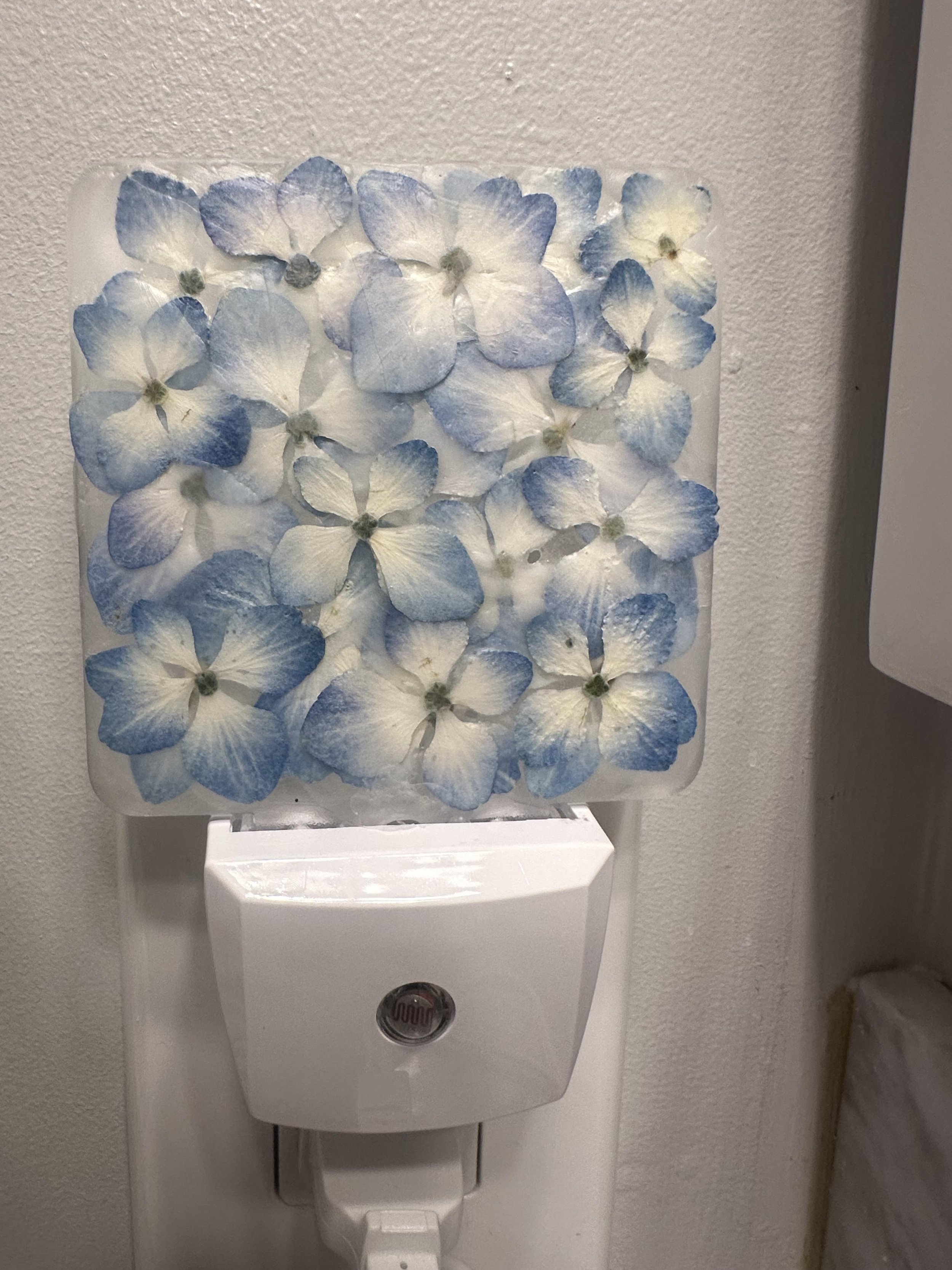 nightlight plugged in.jpg