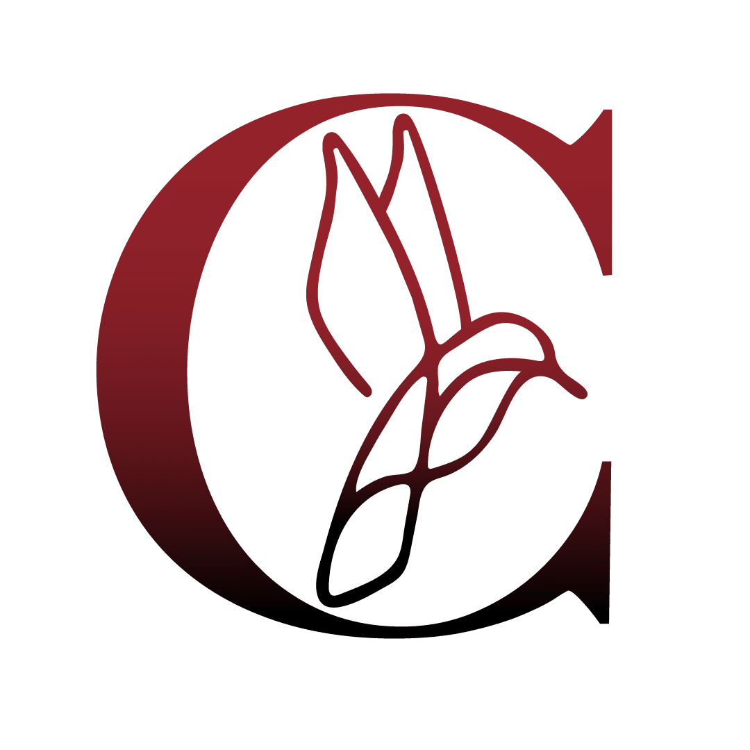 Hummingbird_C_color_Transparent 20-10.png