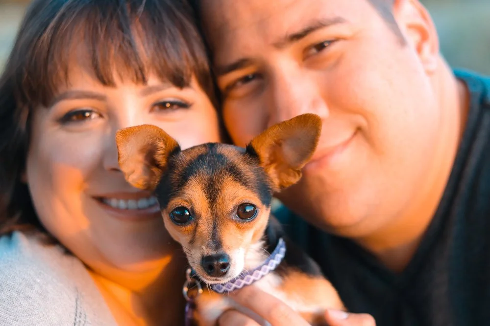 Paradise1017 (12 of 13).JPG