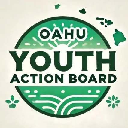 Hfhy YOUTH HOMELESSNESS DEMONSTRATION PROGRAM — PARTNERS IN CARE