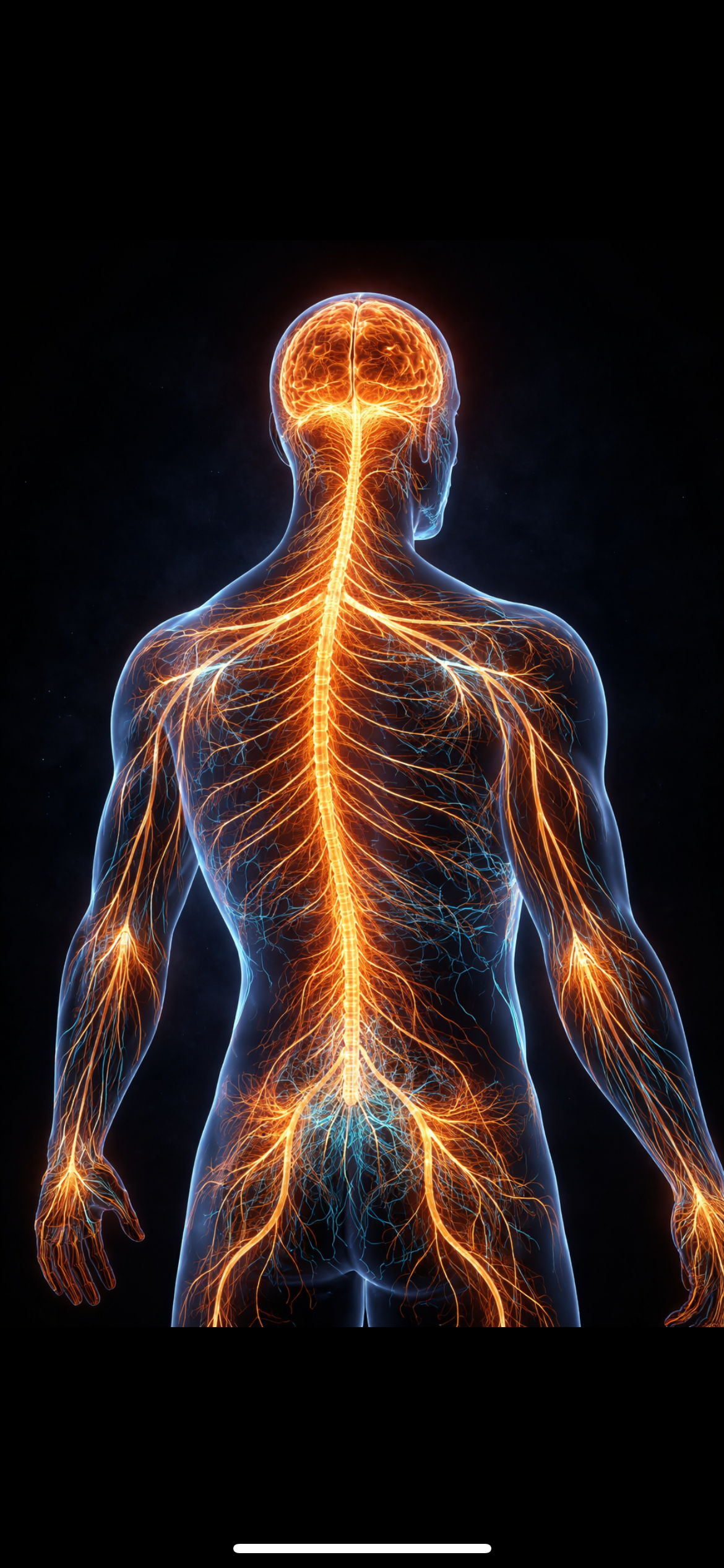 Understanding Nervous System Regulation and How Modern Recovery Therapies Support It