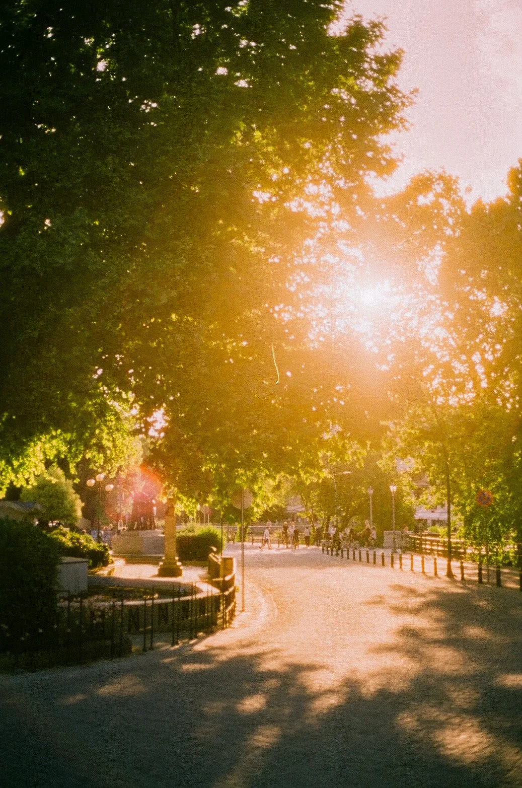6321723D-DF02-457E-B329-5CEAAEB81932.JPEG