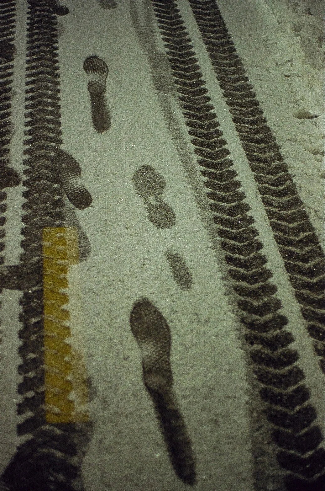 EB14F779-02A6-4C04-8C25-263A41D76FD1.JPEG