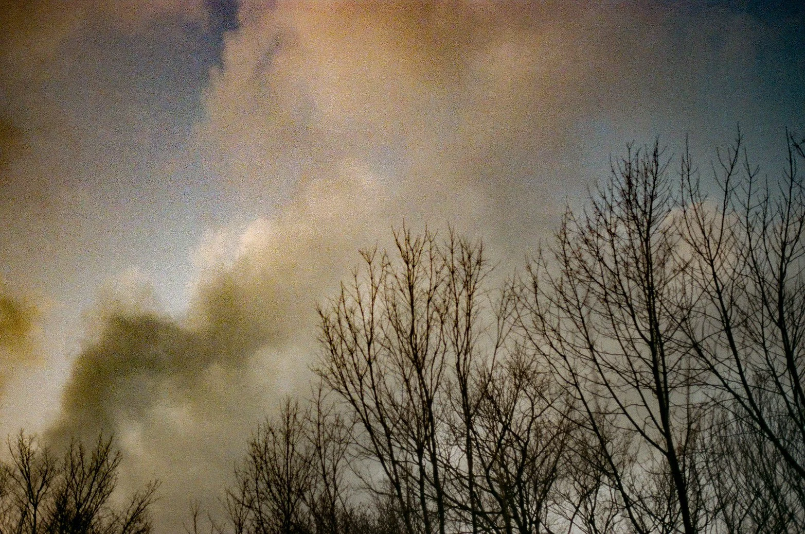 23AA6210-0523-4AB0-831B-437FA9B4585B.JPEG