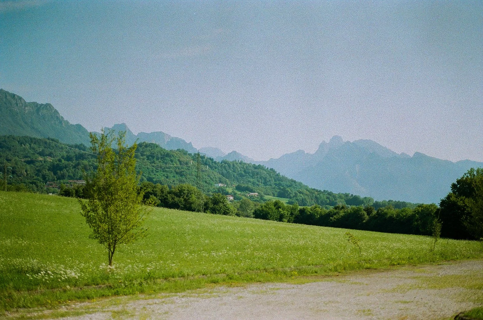 FFC3F737-86AF-45E2-89DD-A1E27CA19B9E.JPEG