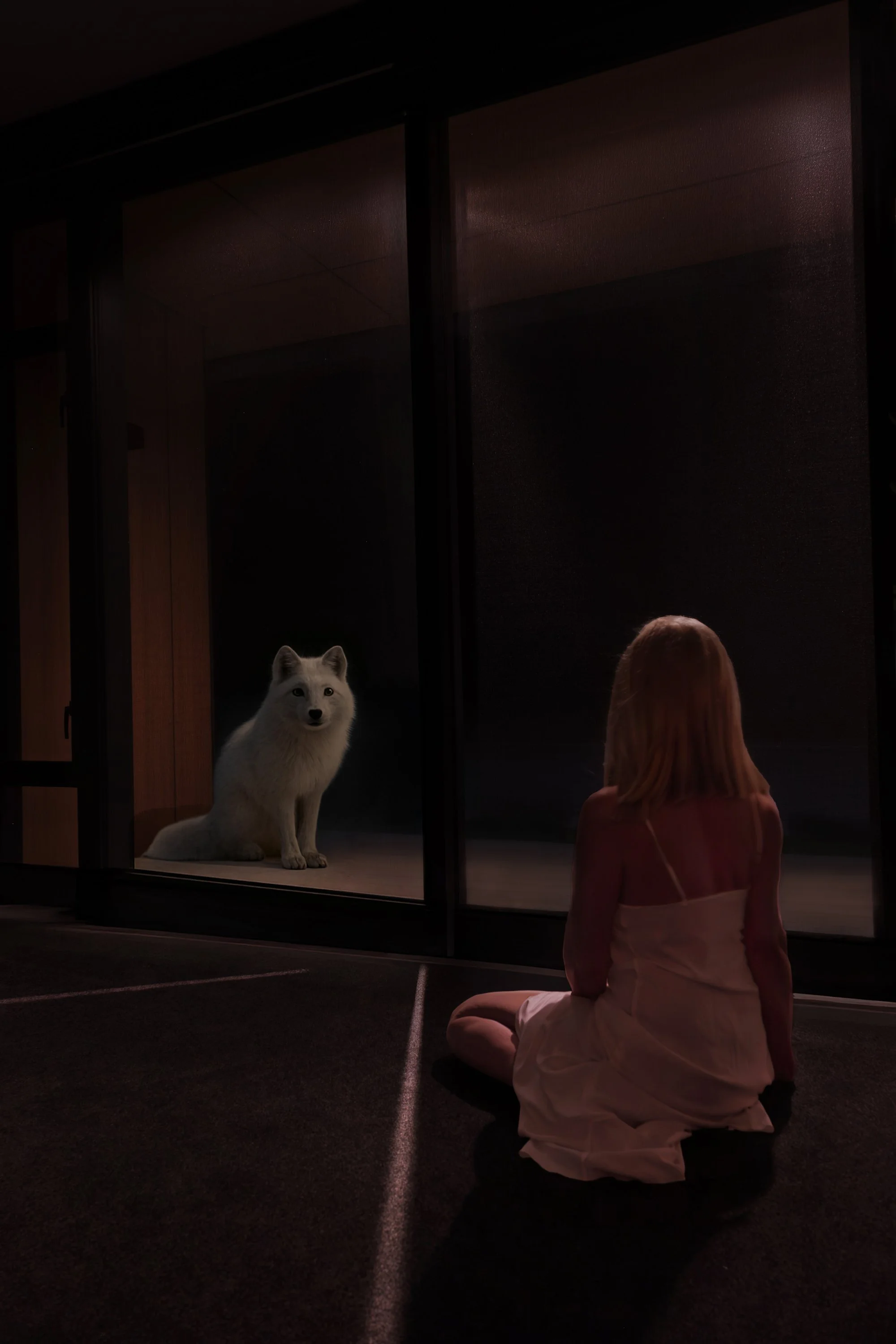 Woman facing white wolf through dark window
