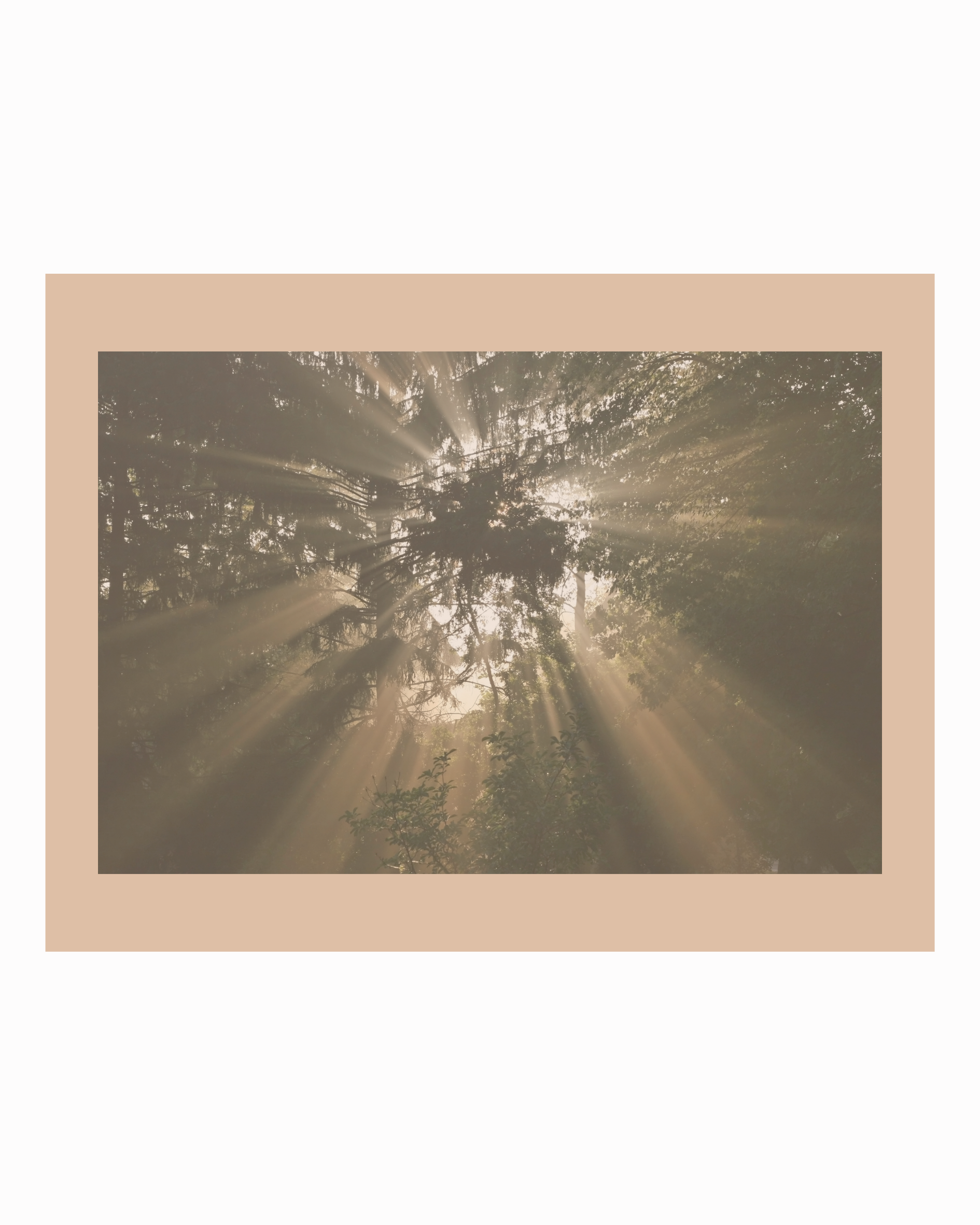 When God Feels Far Away: Faith Through Spiritual Dryness