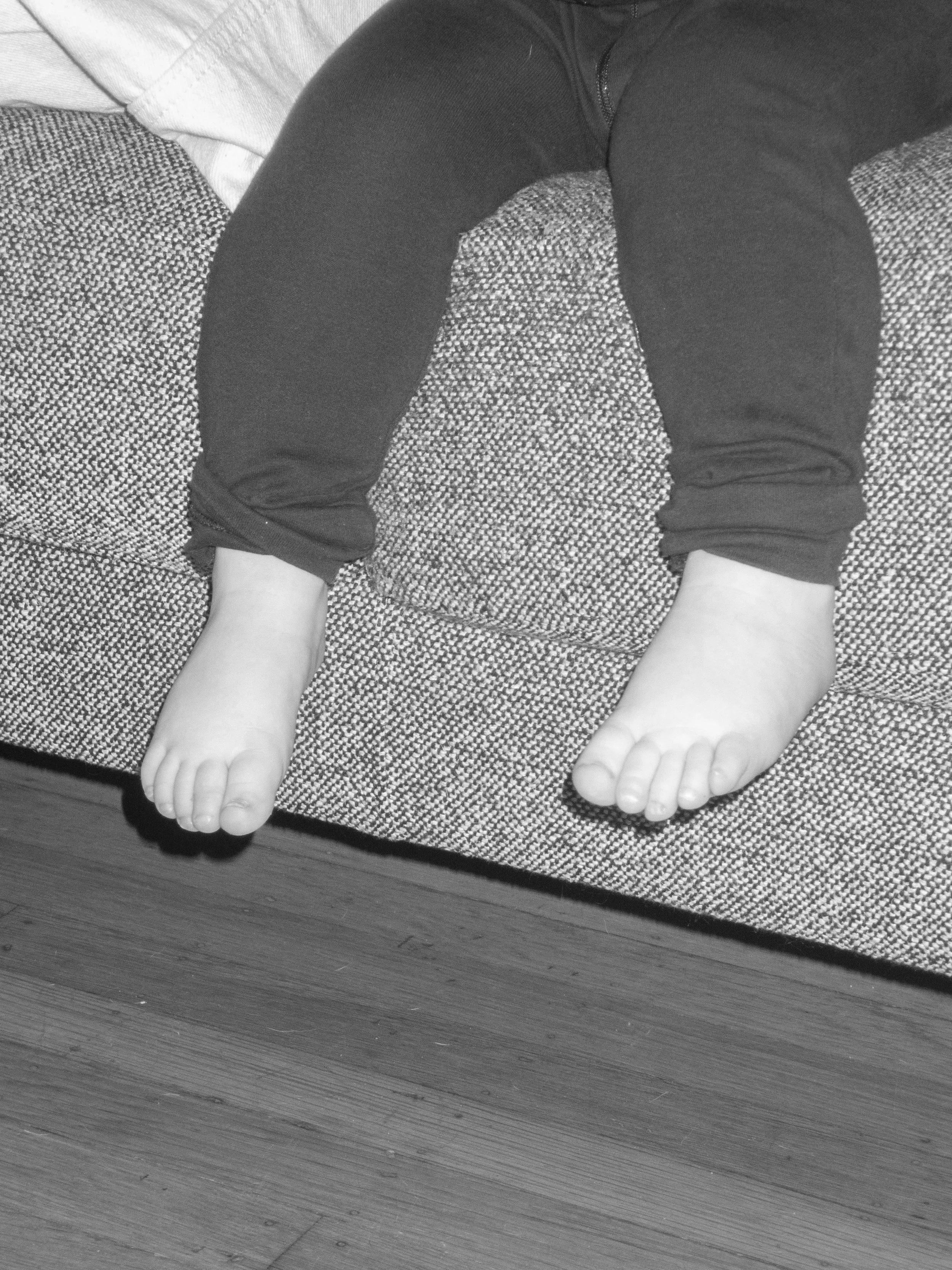 P2090193 copy.jpg