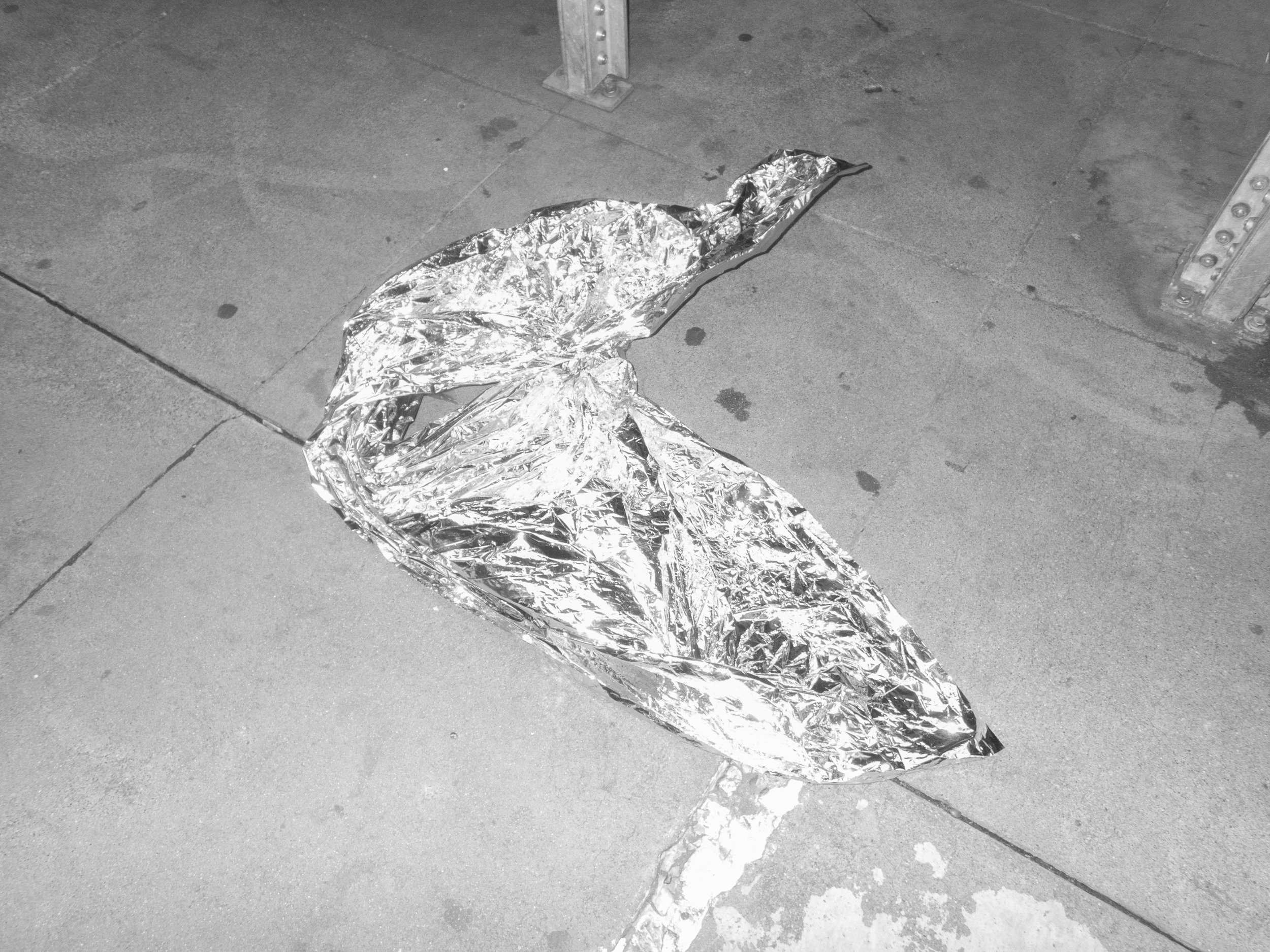 P2130010 copy.jpg