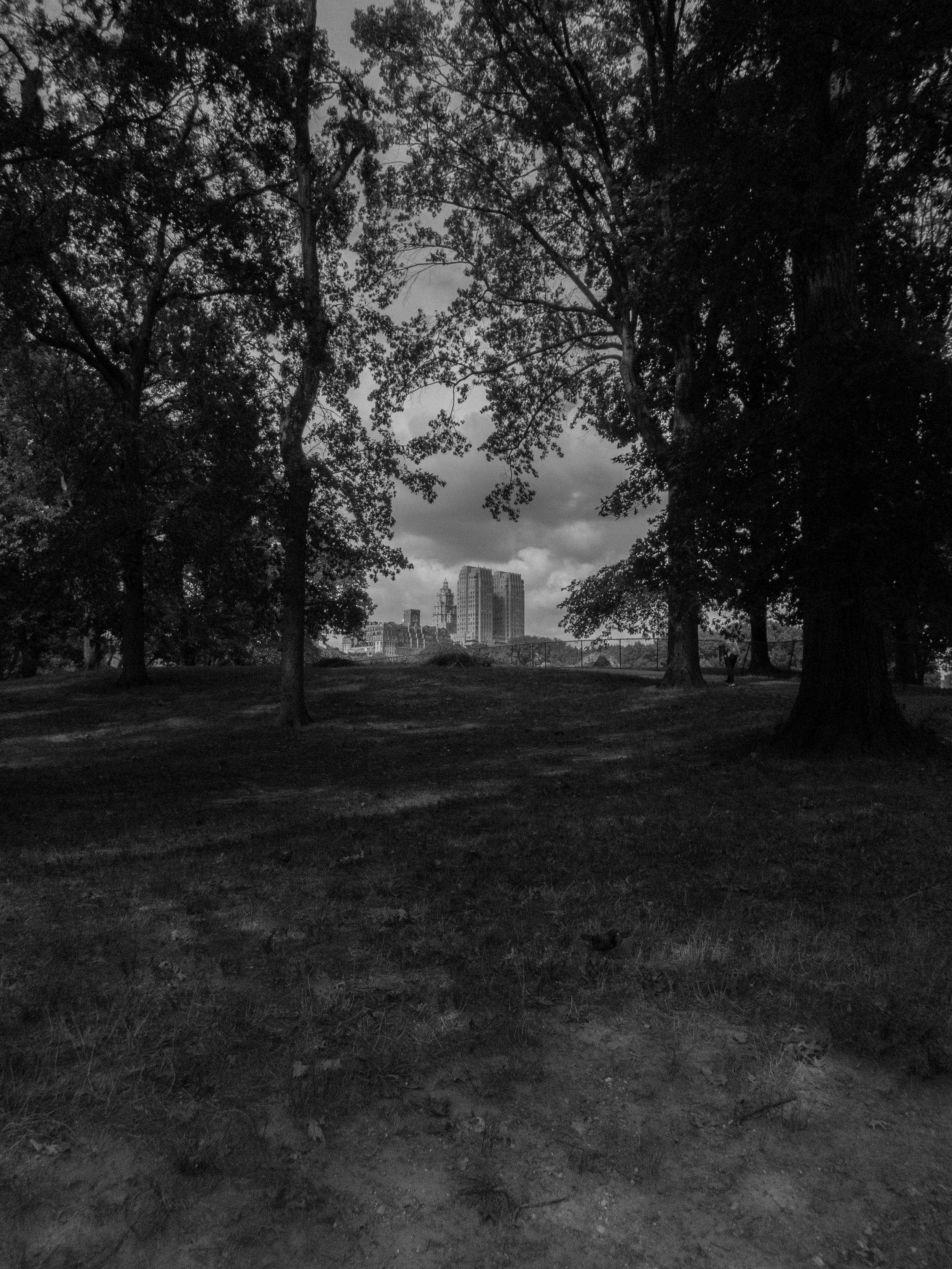 P9220130 copy.jpg