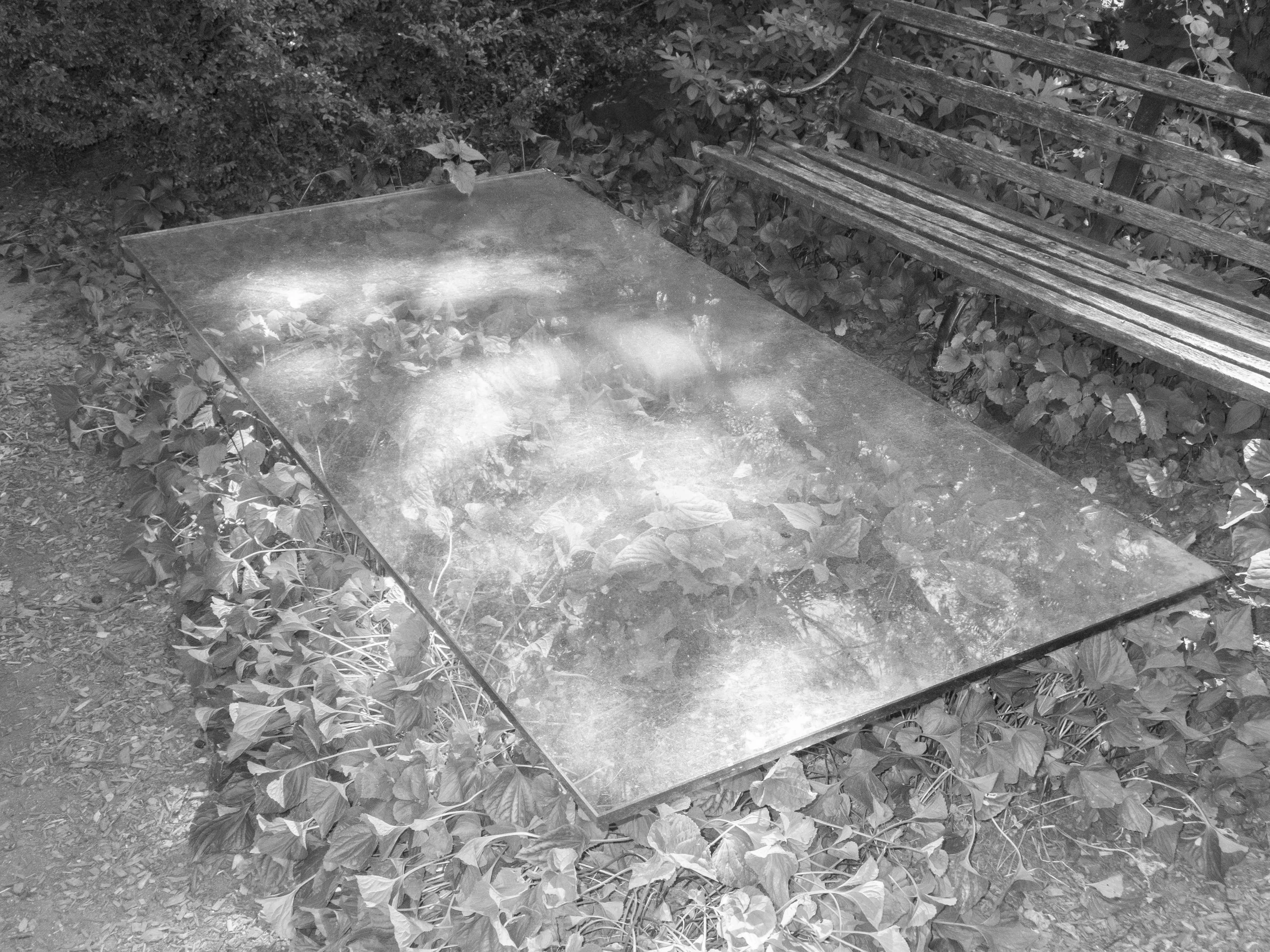 P6200482 copy.jpg