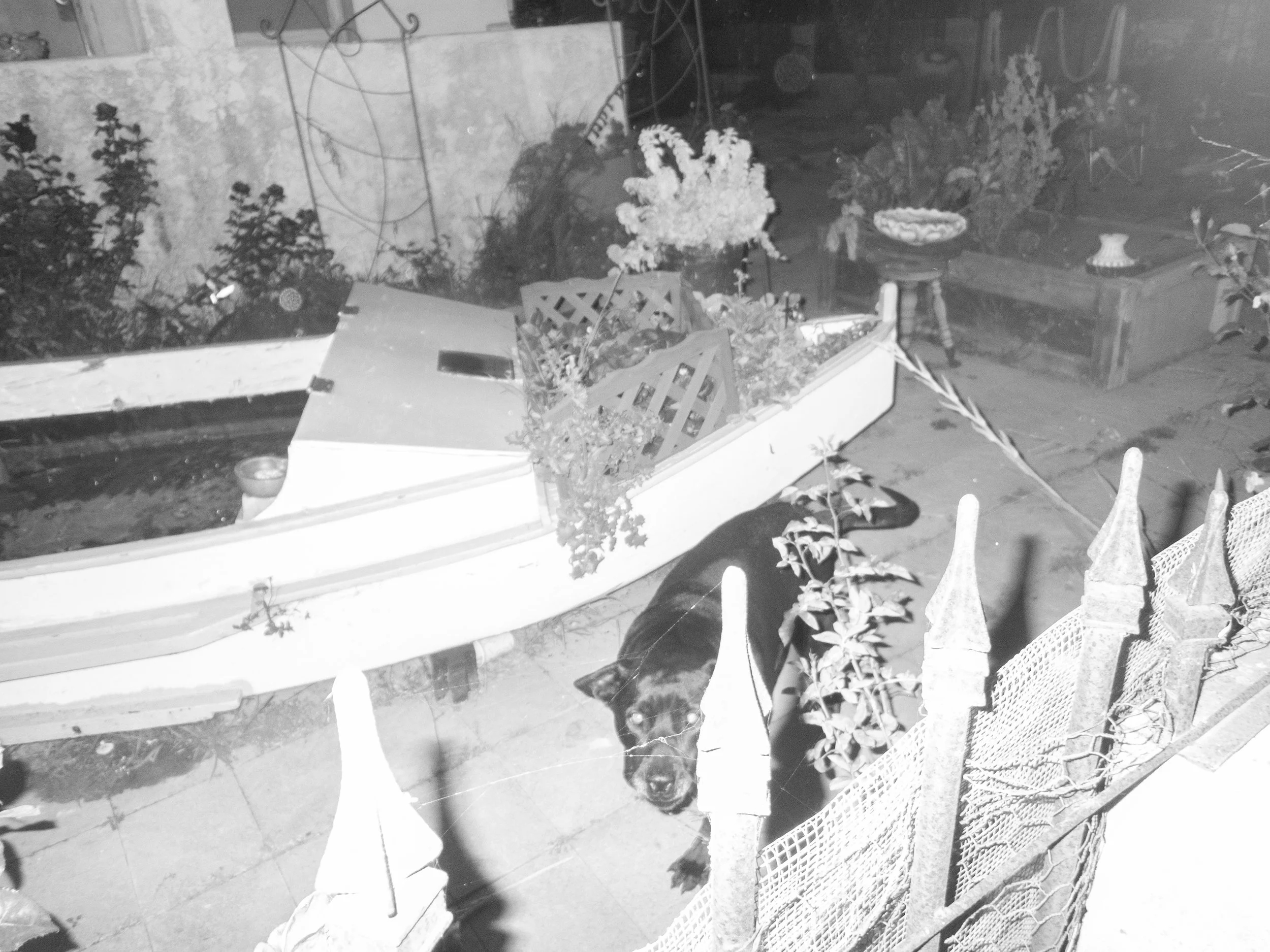P5020116 copy.jpg