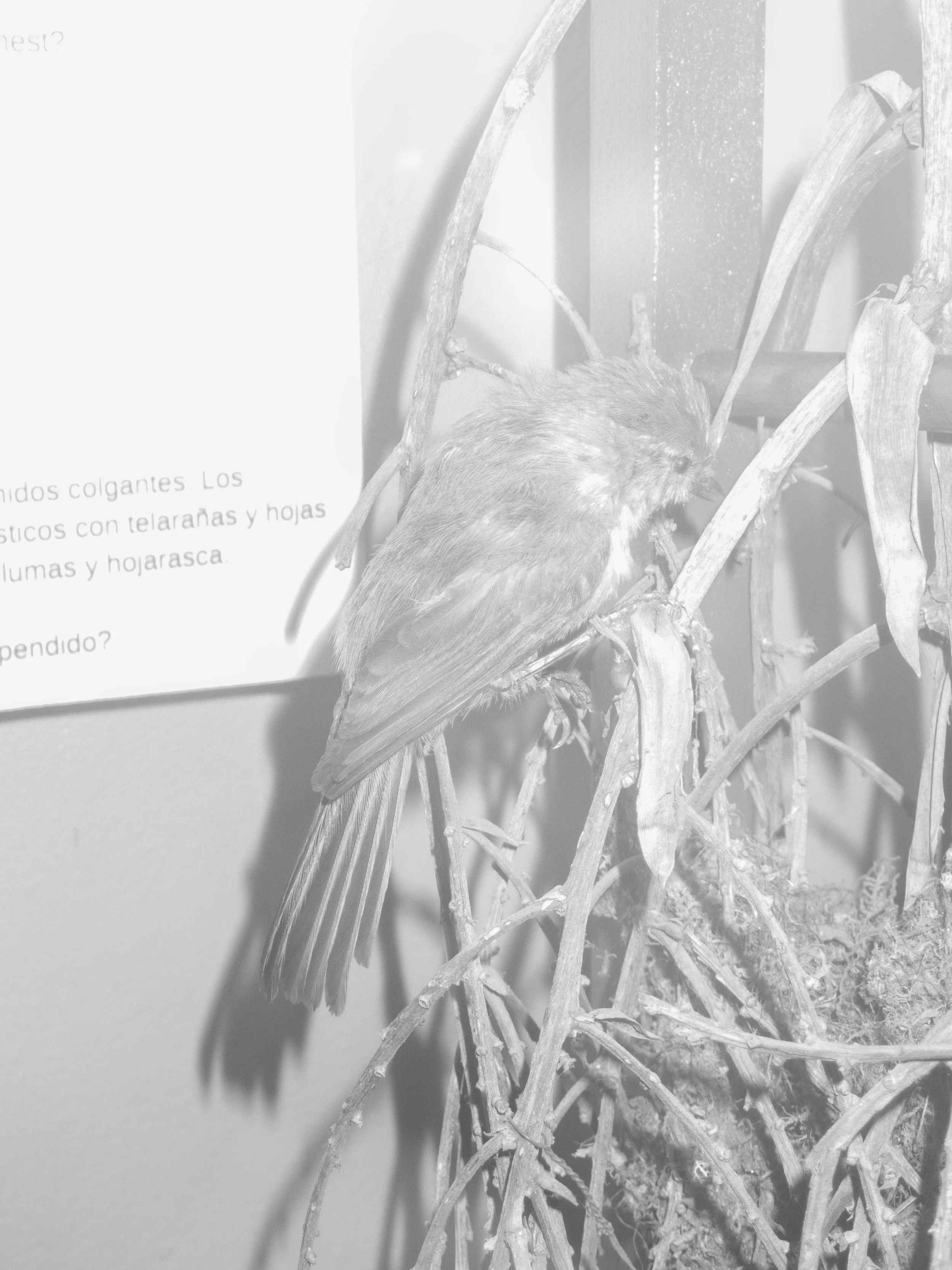 P8220025 copy.jpg